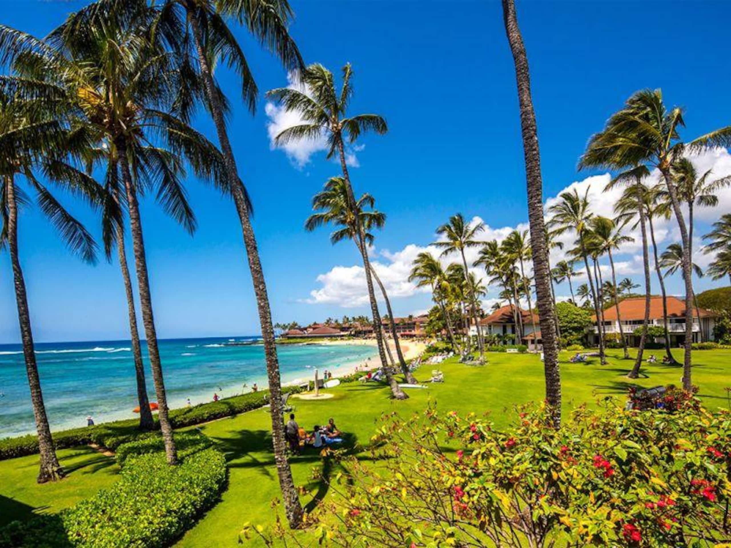 Condo in Koloa · ★4.38 · 2 bedrooms · 3 beds · 2 private baths - Photo 15