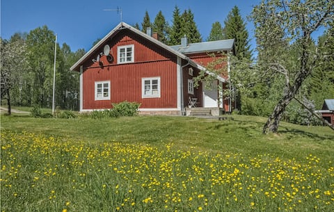 Cozy home in Lesjöfors with kitchen