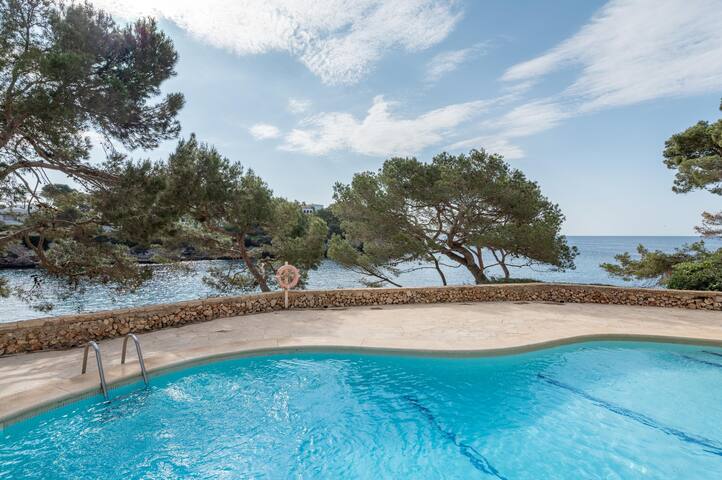 Ferrera Park 502 Front line gallery image 2