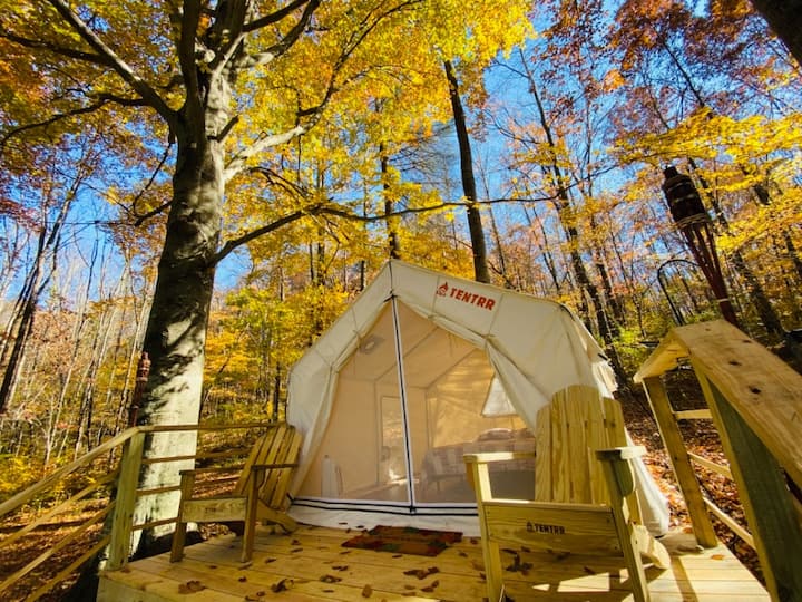 Tent in Maryville · ★5.0 · 1 bedroom · 1 bed · 1 bath