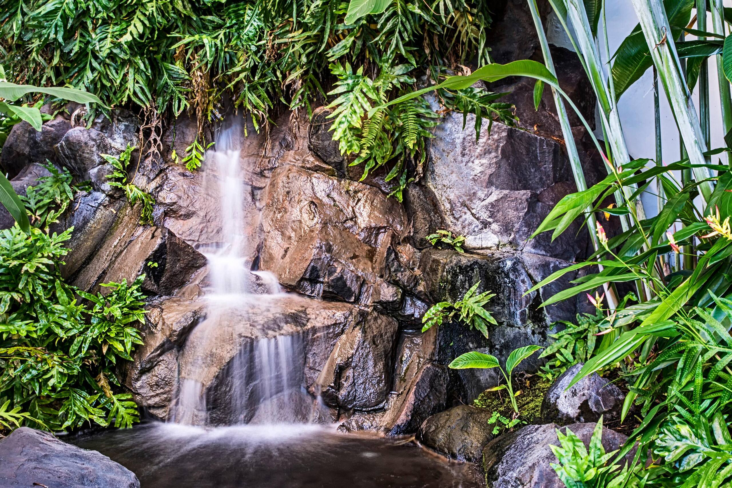 Condo in Kailua-Kona · ★4.73 · 1 bedroom · 2 beds · 1 bath - Image 20