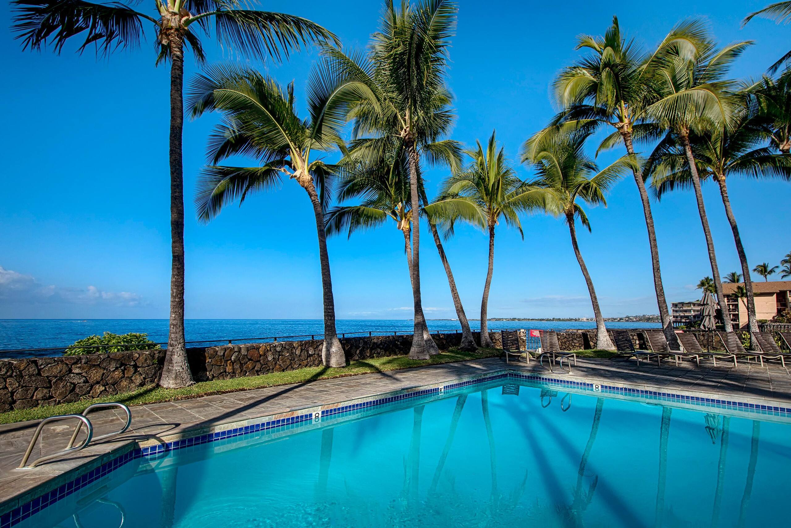 Condo in Kailua-Kona · ★4.73 · 1 bedroom · 2 beds · 1 bath - Image 28