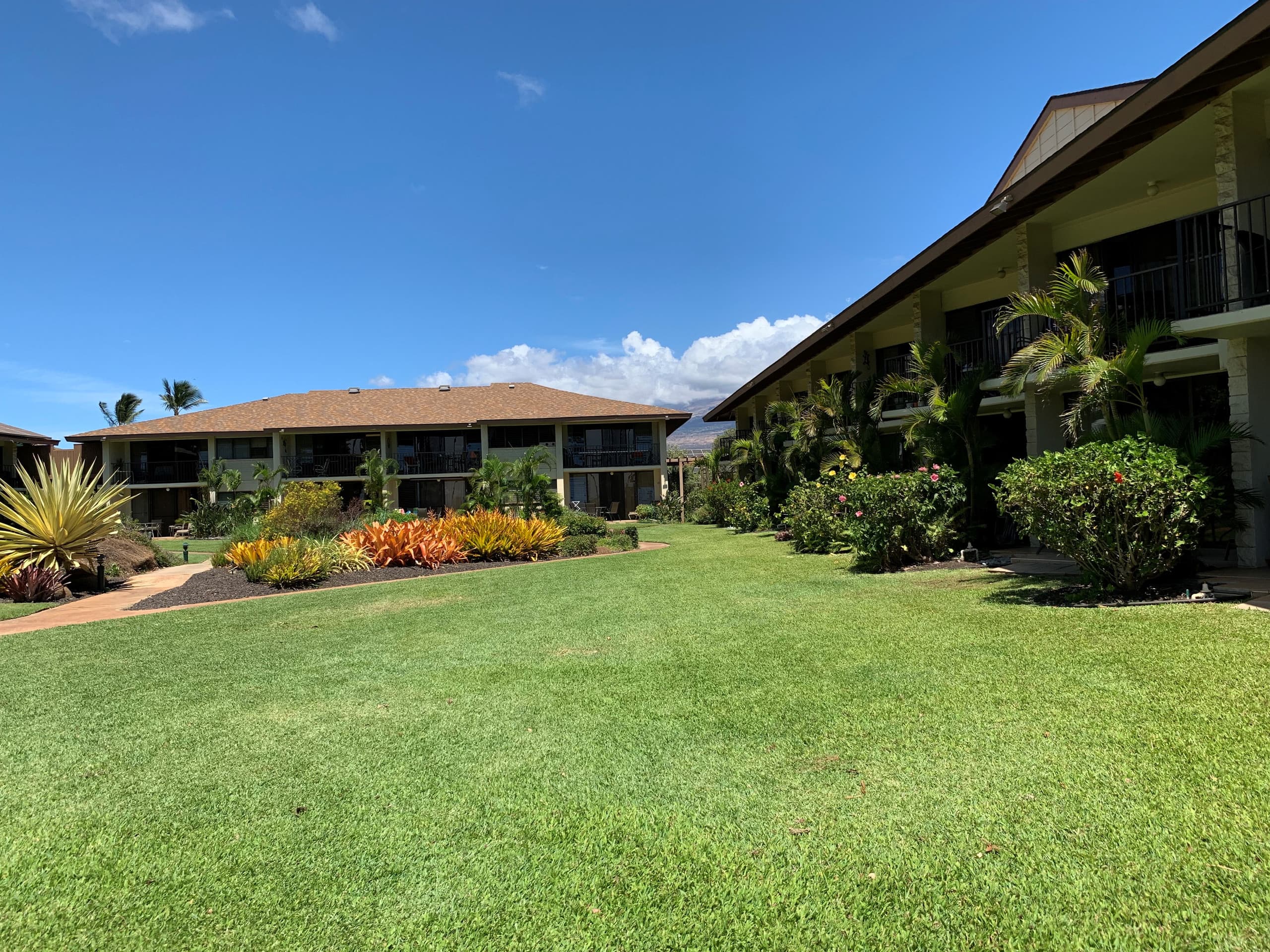 Condo in Kihei · ★4.86 · 1 bedroom · 2 beds · 1 private bath - Image 25