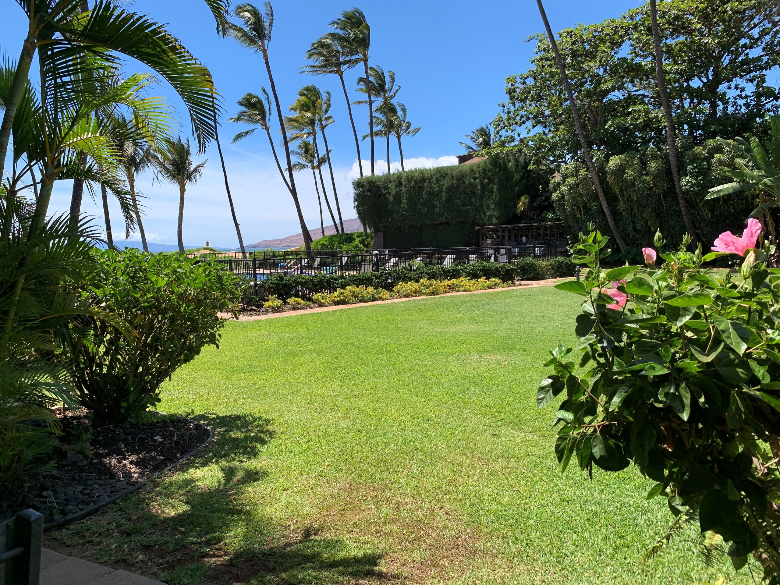 Condo in Kihei · ★4.86 · 1 bedroom · 2 beds · 1 private bath - Image 24
