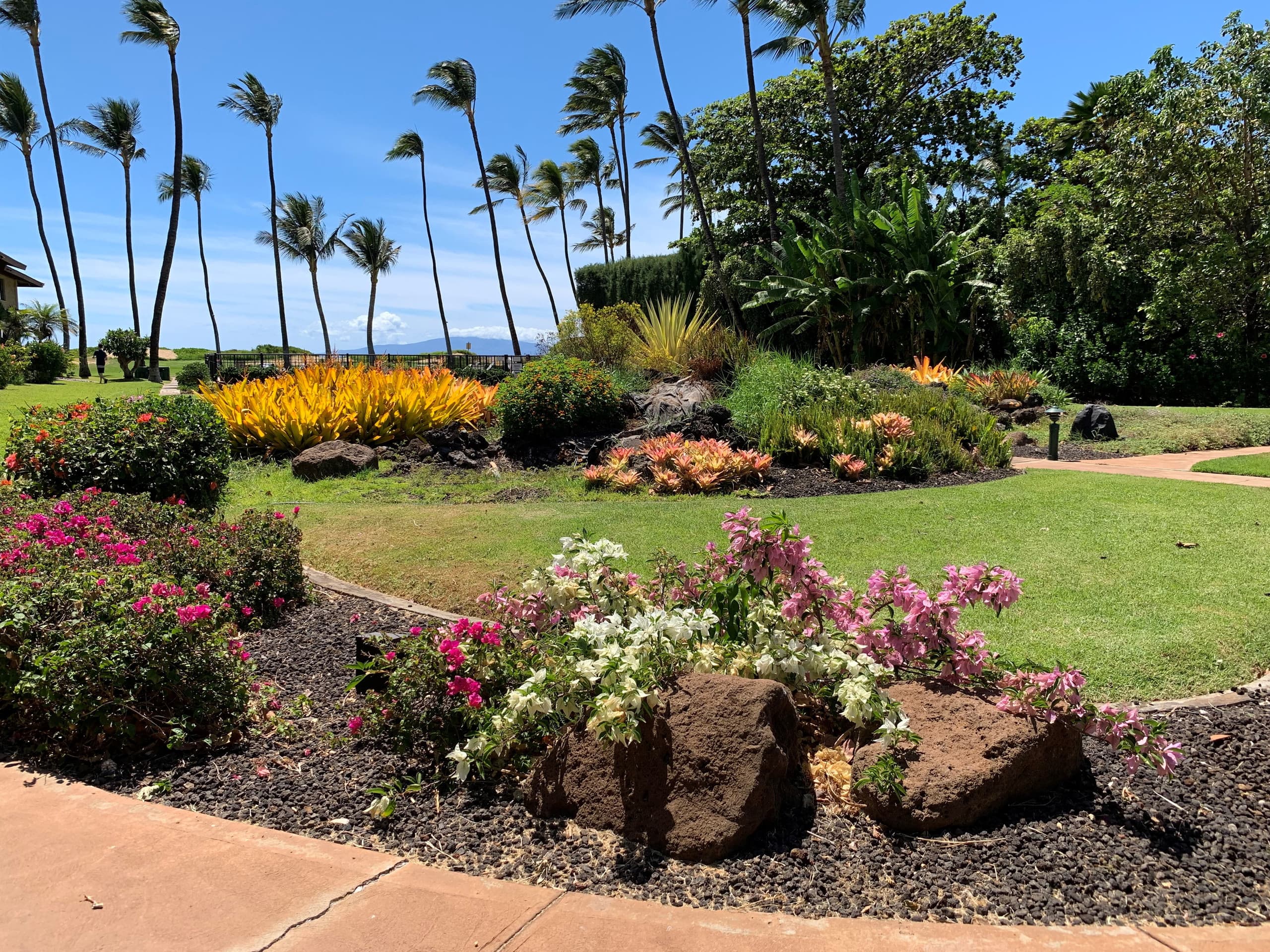Condo in Kihei · ★4.86 · 1 bedroom · 2 beds · 1 private bath - Image 26