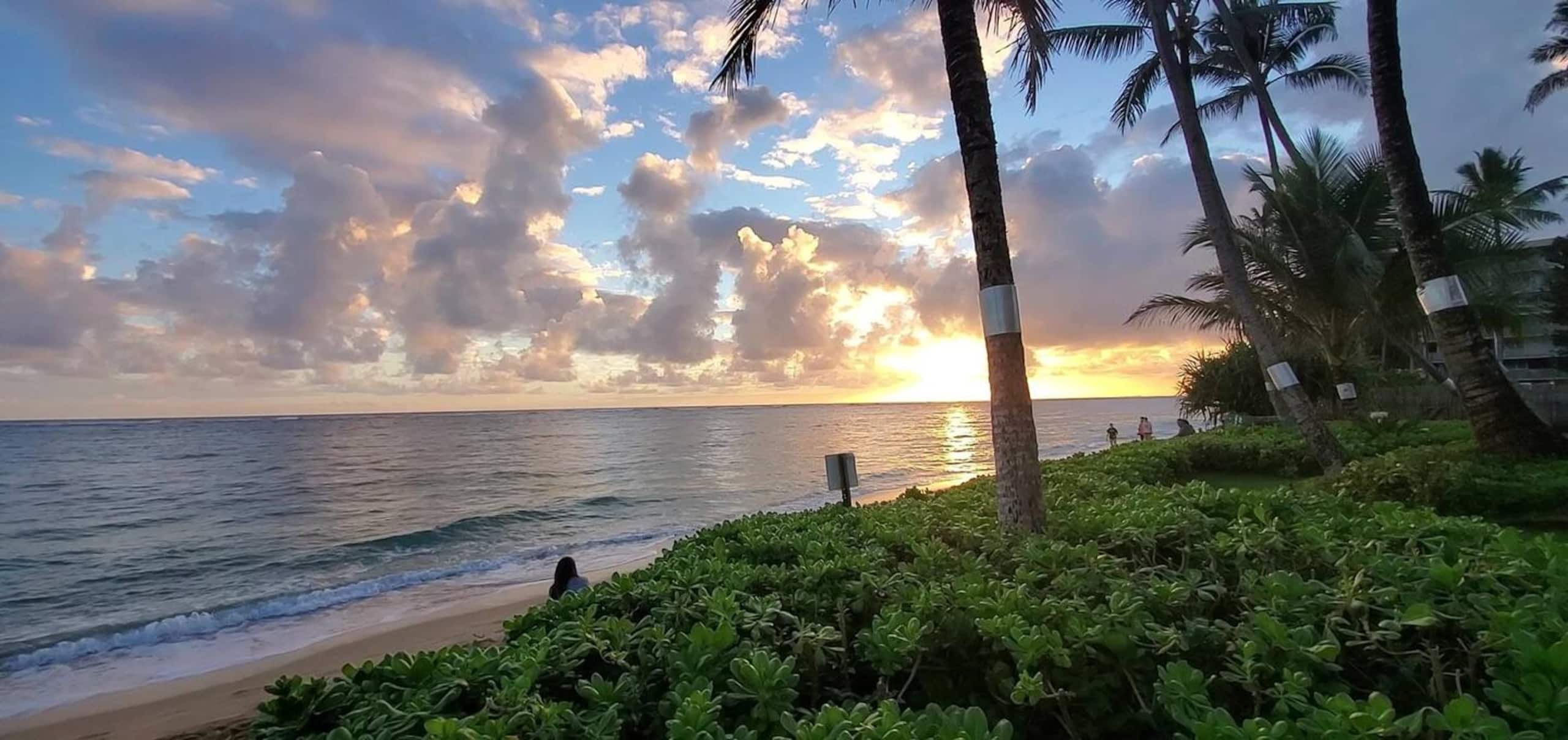Condo in Hauula · ★4.53 · 1 bedroom · 2 beds · 1 private bath - Image 1
