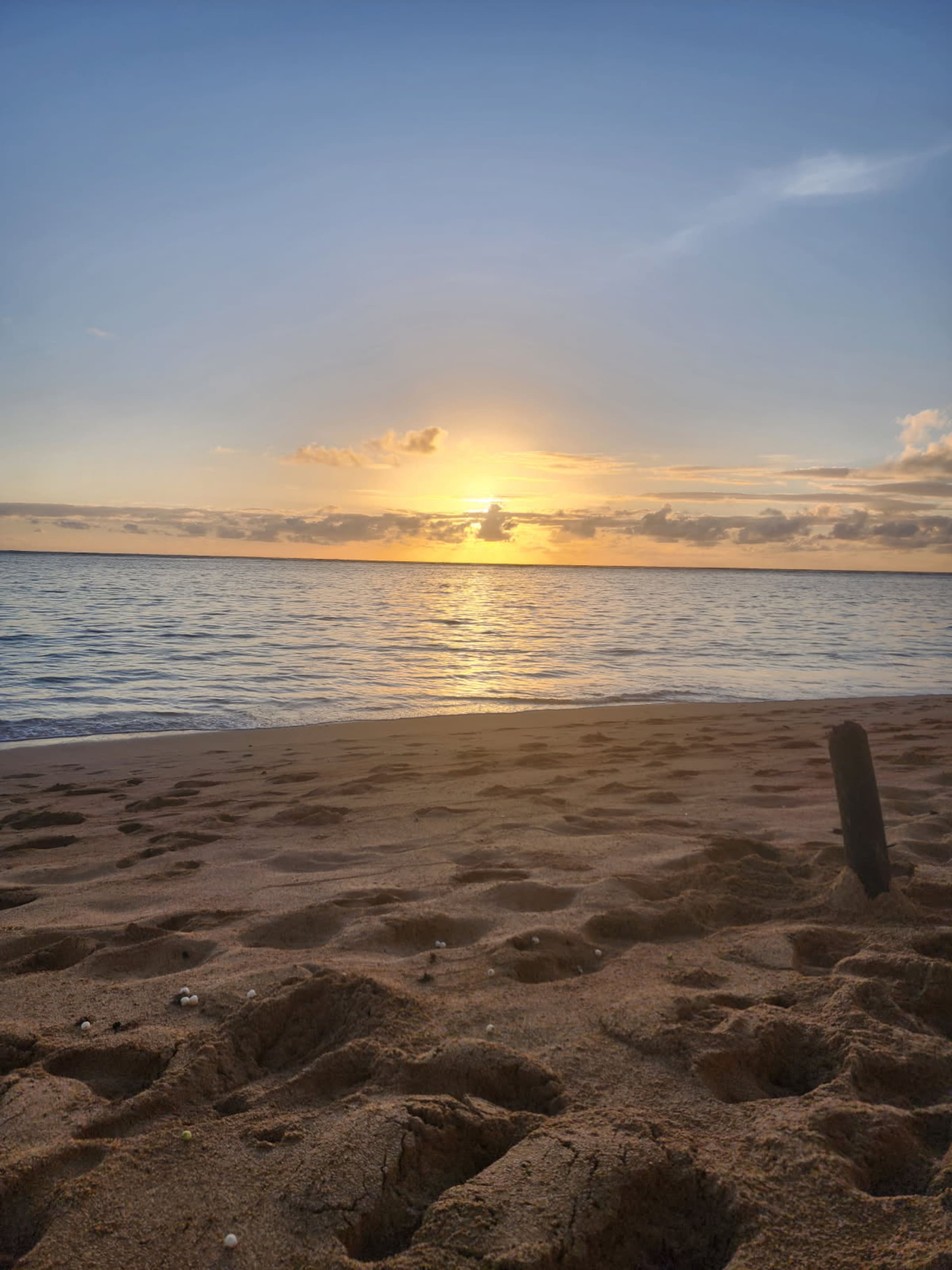 Condo in Hauula · ★4.53 · 1 bedroom · 2 beds · 1 private bath - Image 51