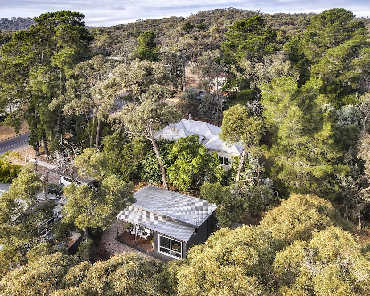 An aerial view showcases a studio cottage nestled among lush trees. The surrounding greenery offers a sense of privacy. The outdoor area features a covered patio with seating, blending harmoniously into the natural landscape, while the road is partially visible in the background.