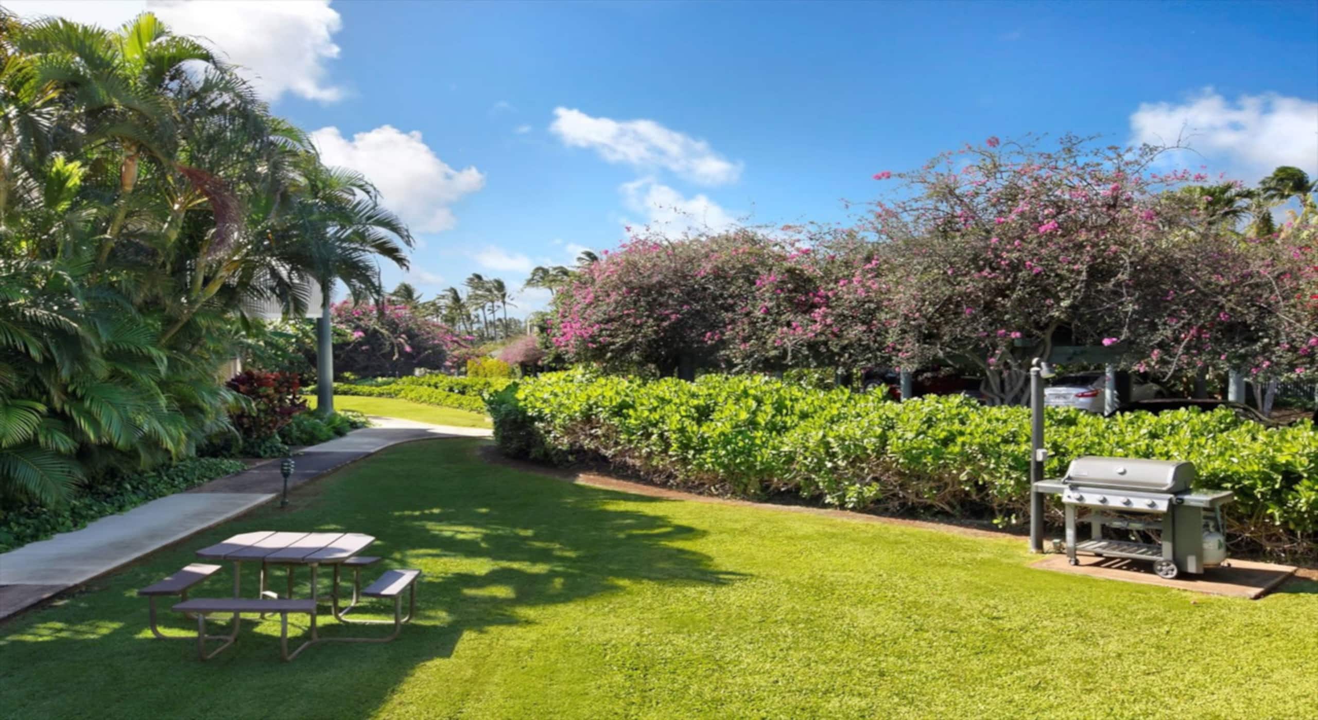 Condo in Koloa · ★4.92 · 1 bedroom · 2 beds · 1 bath - Image 27