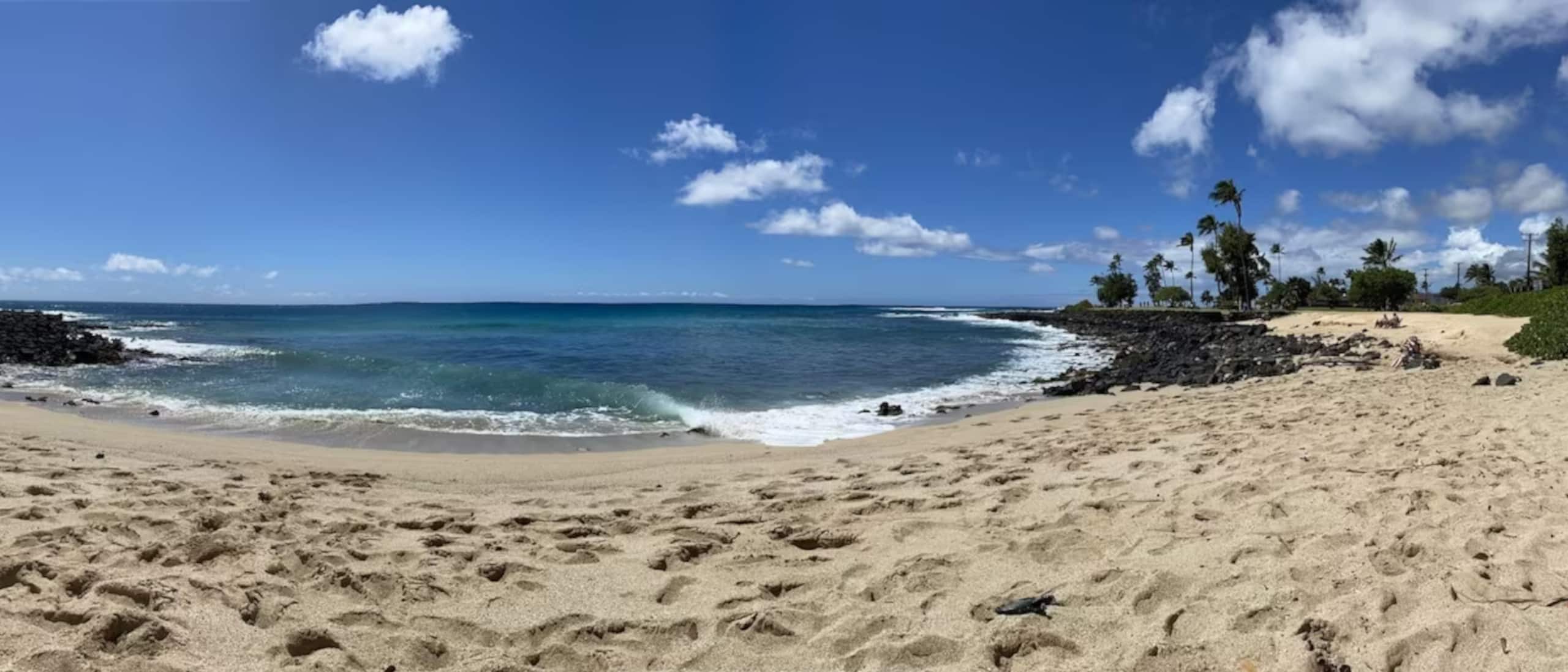 Condo in Koloa · ★4.92 · 1 bedroom · 2 beds · 1 bath - Image 29