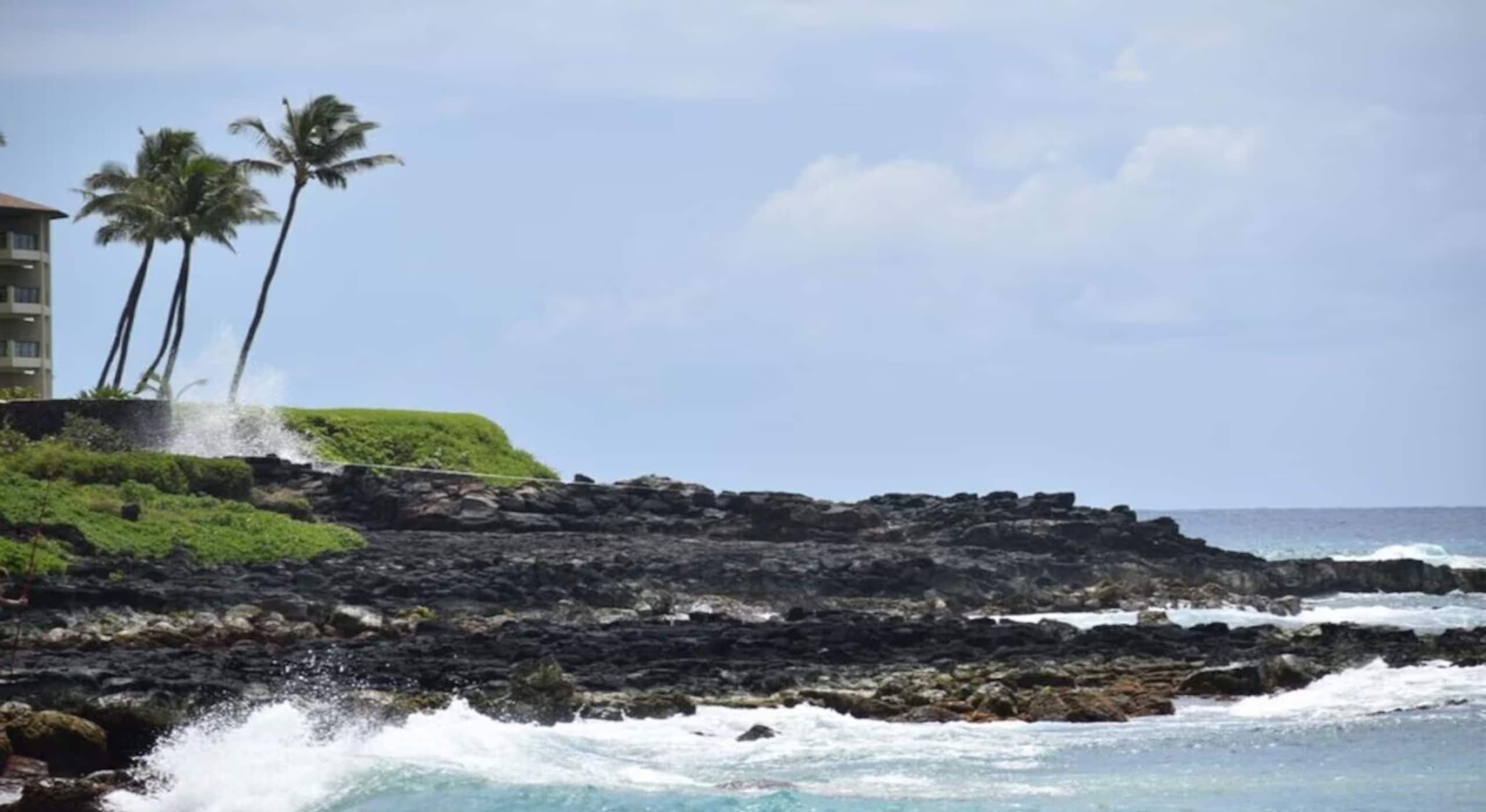 Condo in Koloa · ★4.92 · 1 bedroom · 2 beds · 1 bath - Image 28