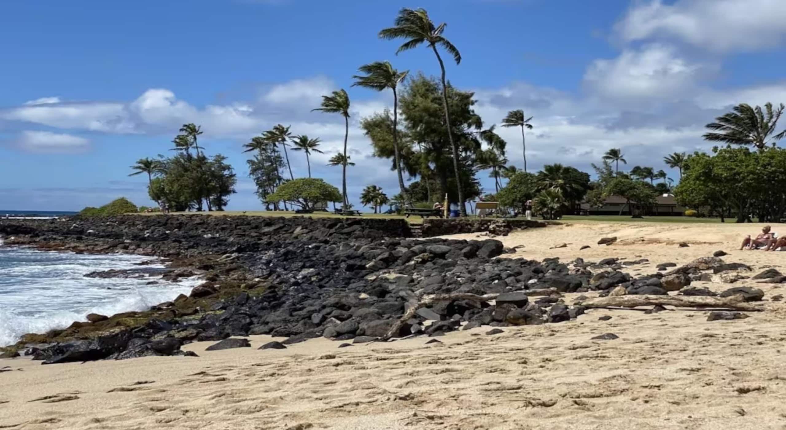 Condo in Koloa · ★4.92 · 1 bedroom · 2 beds · 1 bath - Image 30