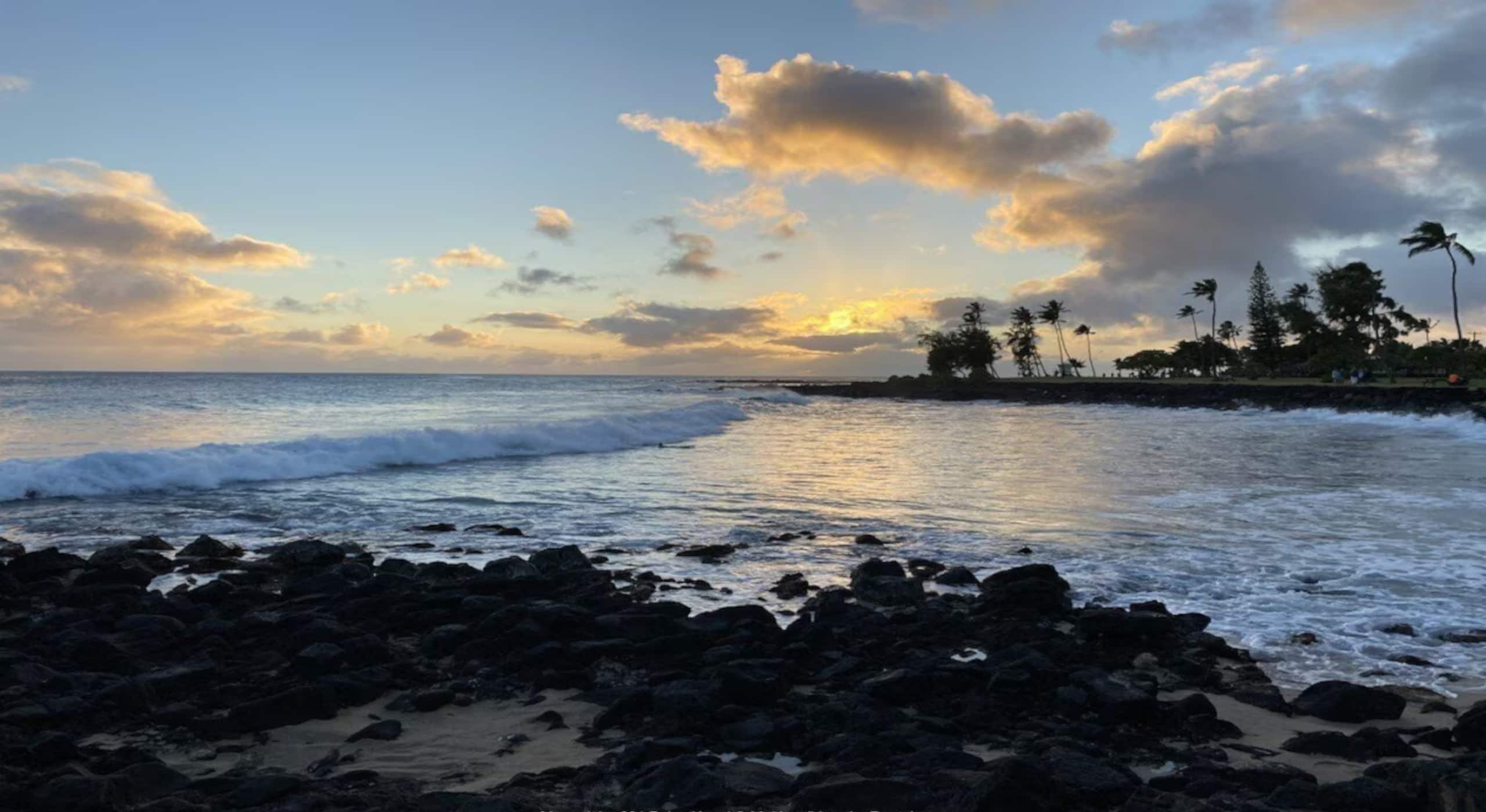 Condo in Koloa · ★4.92 · 1 bedroom · 2 beds · 1 bath - Image 31