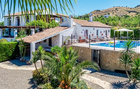 Beautiful home in Pizarra