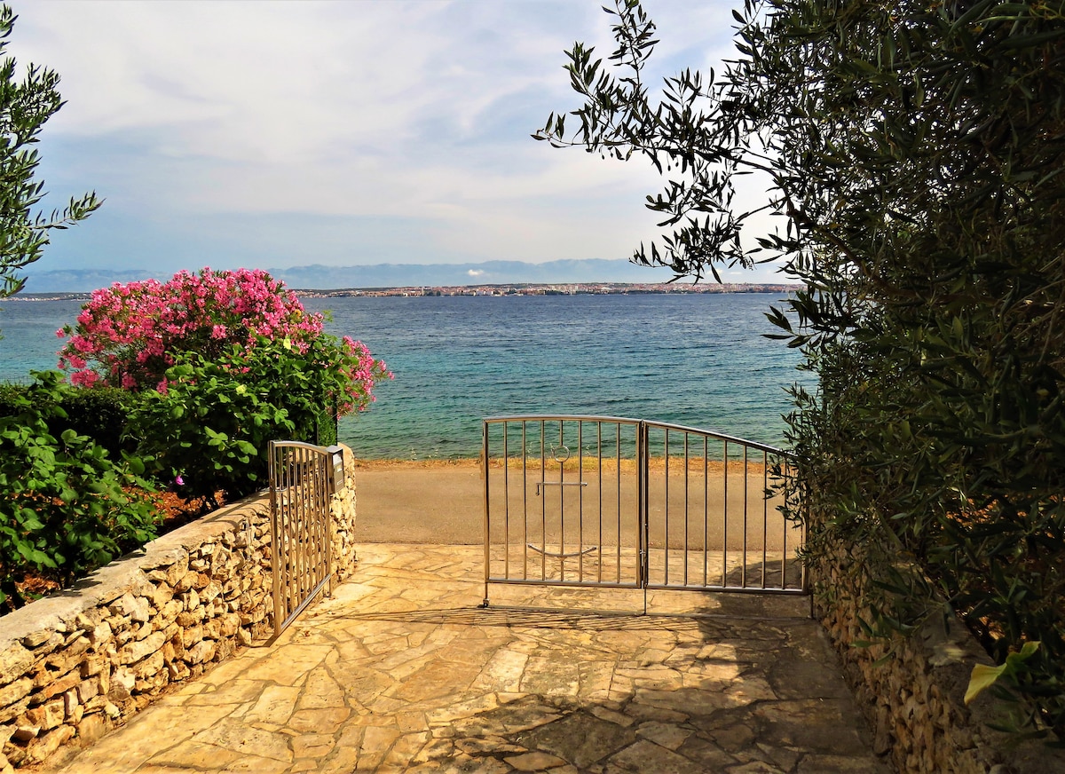 A stone path leads to a gate overlooking the sea. Lush greenery and vibrant pink flowers frame the scene, while the tranquil water stretches towards distant hills. The sky holds soft clouds, creating a calm and serene atmosphere, inviting outdoor enjoyment.