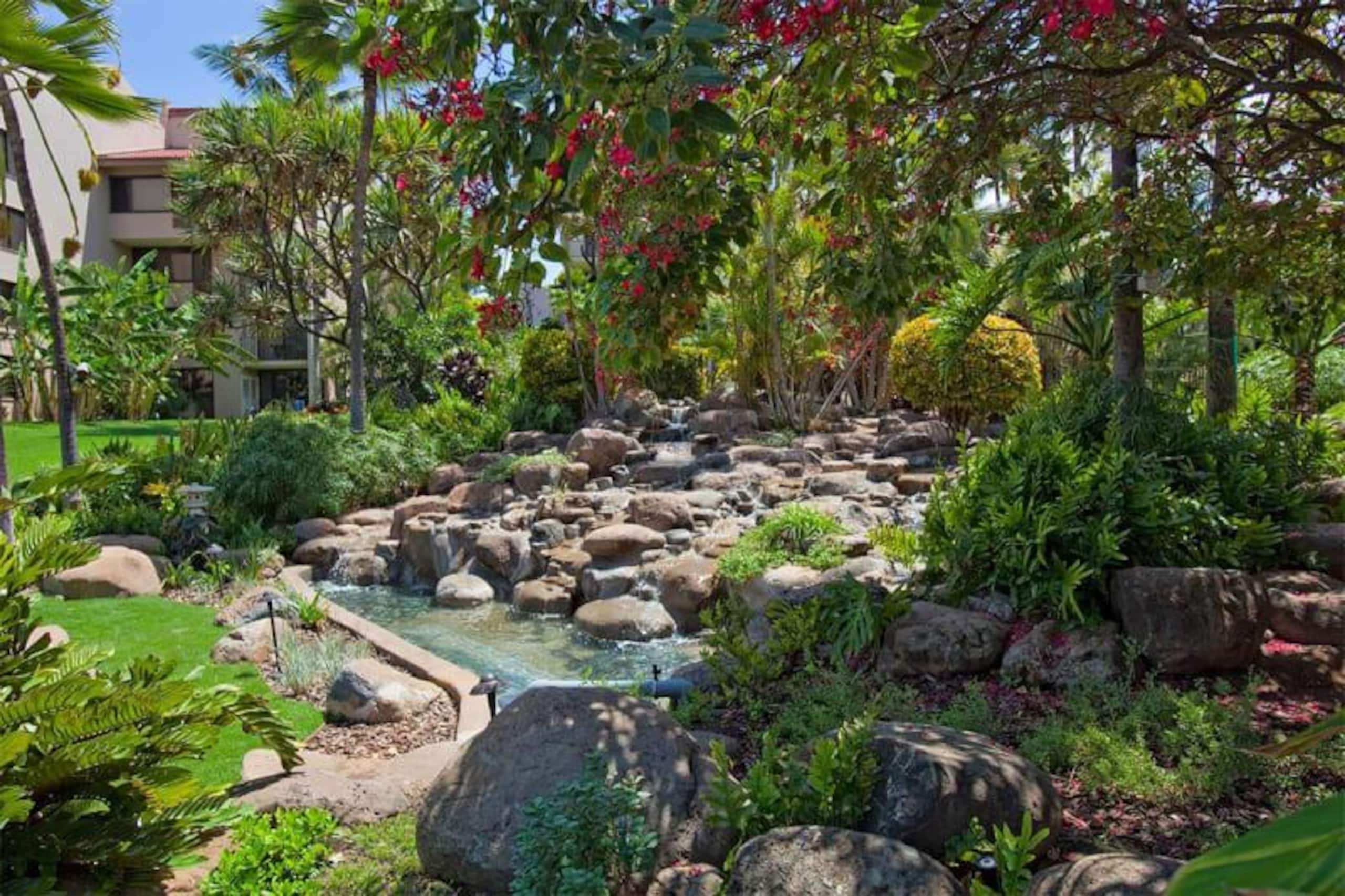 Condo in Kihei · ★5.0 · 2 bedrooms · 3 beds · 2 shared baths - Image 27
