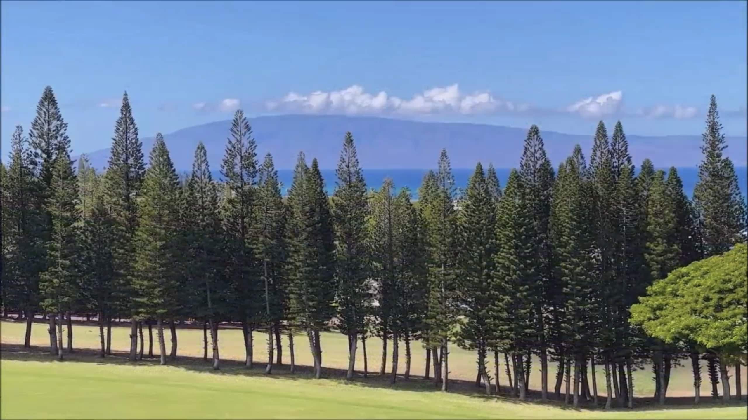 Condo in Lahaina · ★4.82 · 1 bedroom · 2 beds · 1.5 baths - Image 3