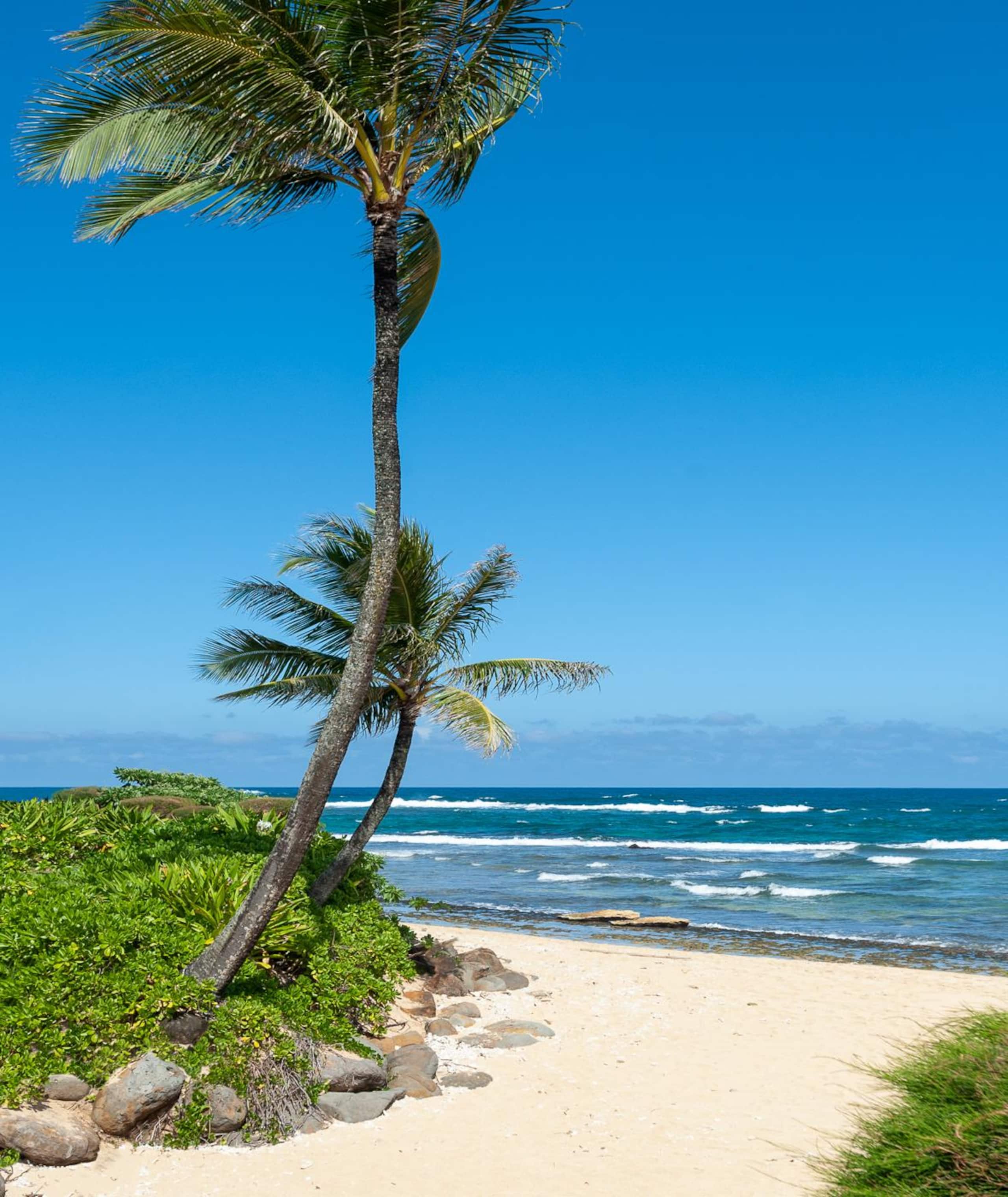Condo in Hanalei · ★4.68 · 2 bedrooms · 2 beds · 2 baths - Photo 31