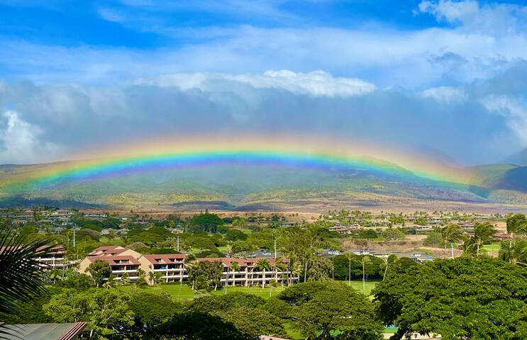 Maui Resort Rentals: Whaler 673 gallery image 5