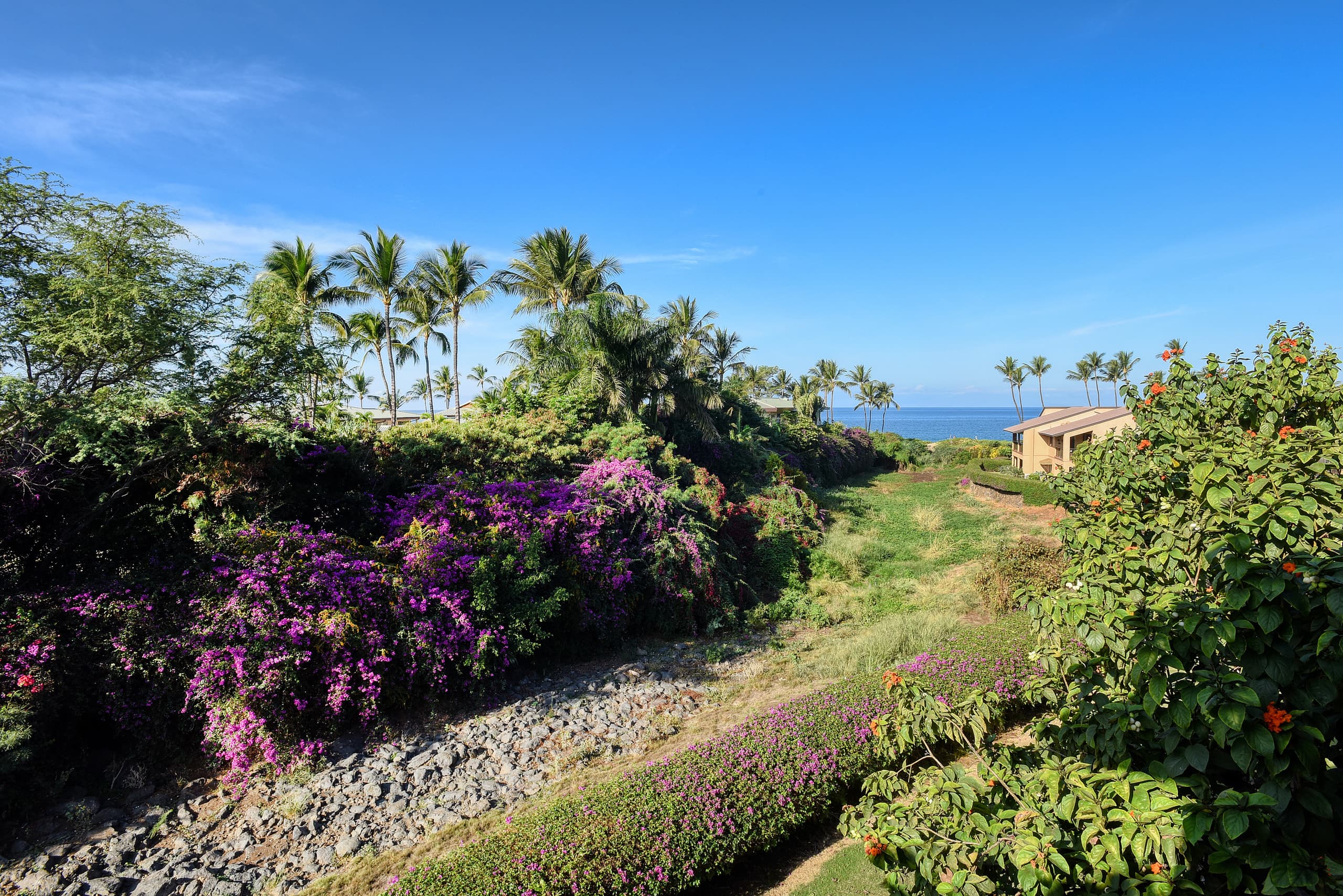 Condo in Kihei · ★4.96 · 2 bedrooms · 3 beds · 2 baths - Image 8