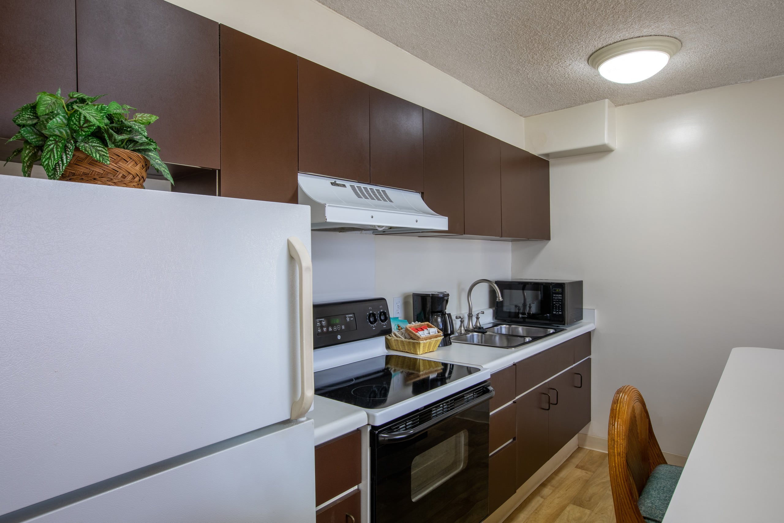 Condo in Honolulu · ★4.43 · 1 bedroom · 3 beds · 1 shared bath - Image 7