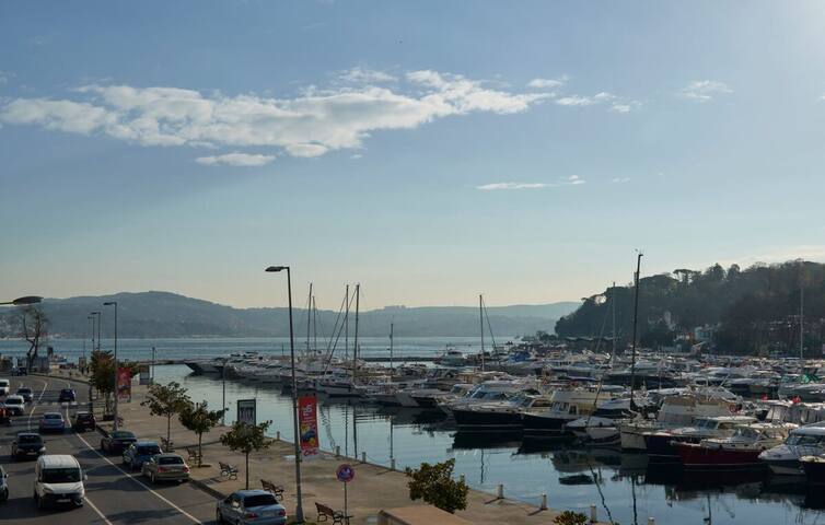 Gorgeous Bright 4bed Gem w/ Views+Balcony! #115 gallery image 2