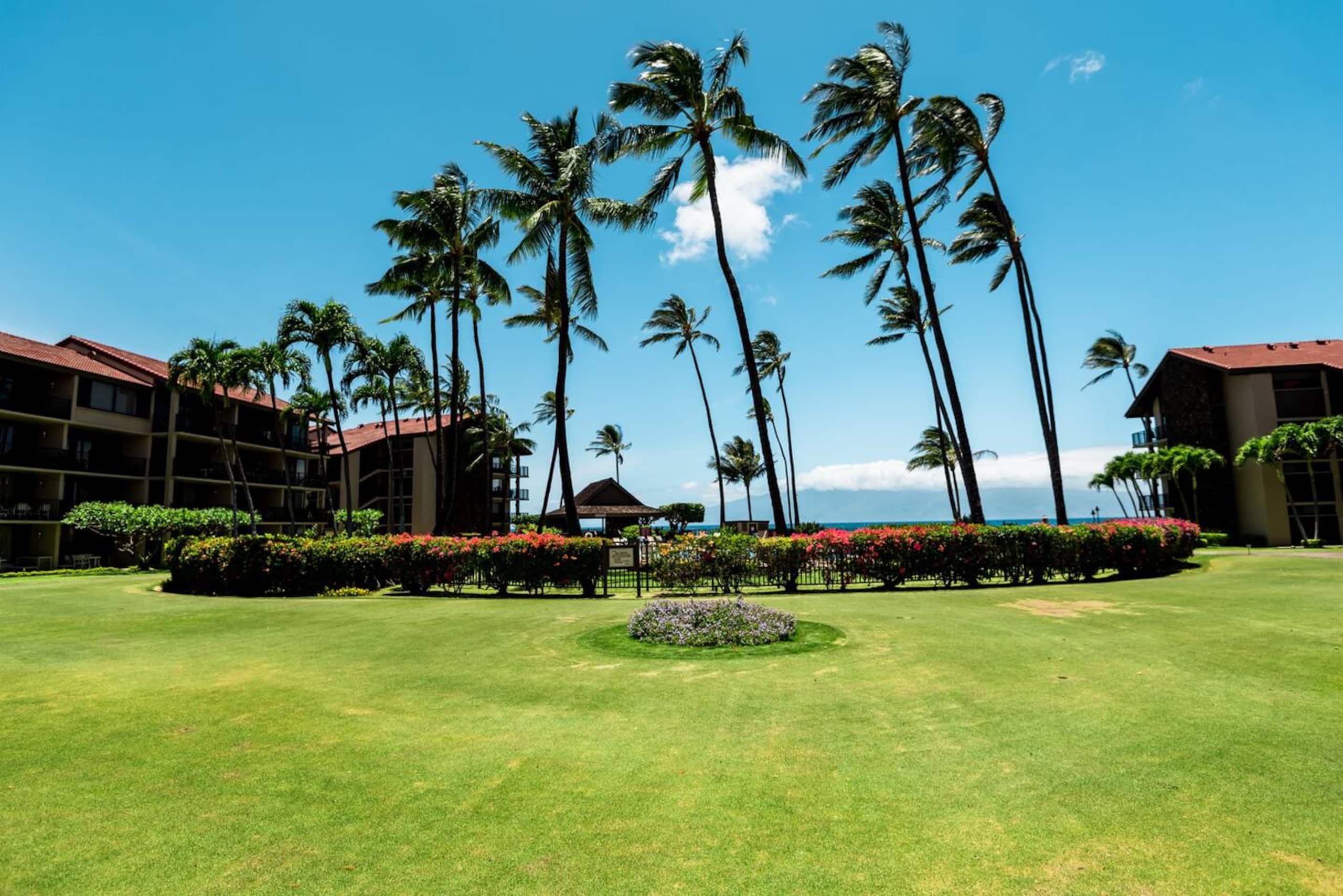Condo in Lahaina · ★4.87 · 3 bedrooms · 5 beds · 2 baths - Image 42