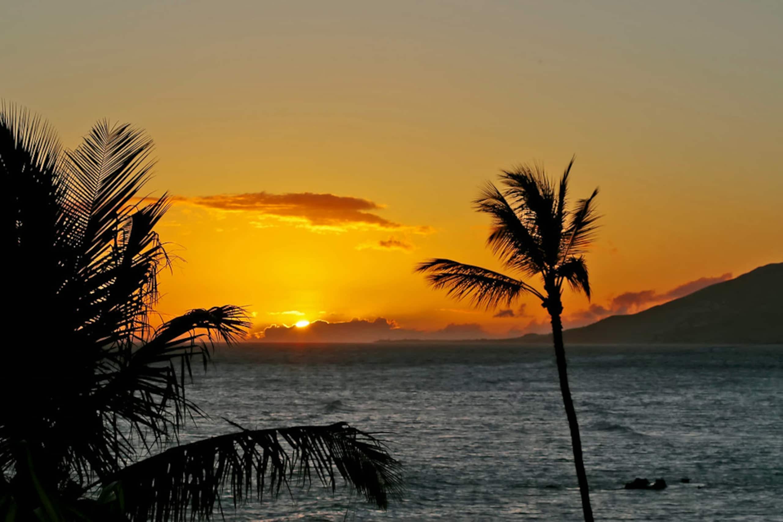 Condo in Kihei · ★5.0 · 6 bedrooms · 10 beds · 8 private baths - Image 49