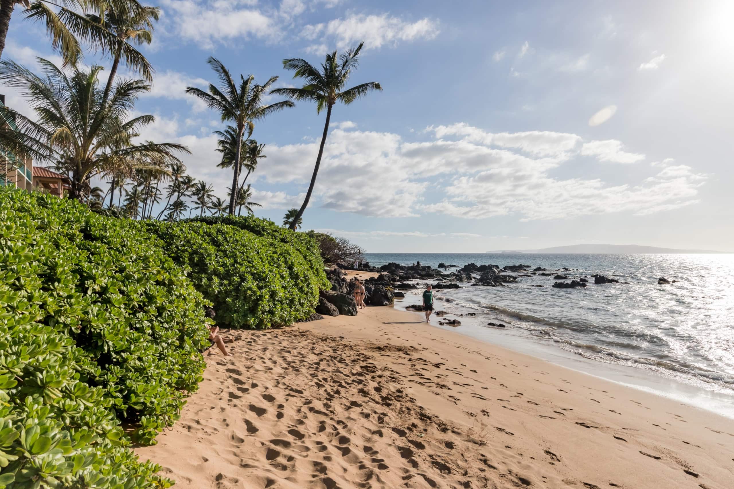 Condo in Kihei · ★5.0 · 6 bedrooms · 10 beds · 8 private baths - Image 53