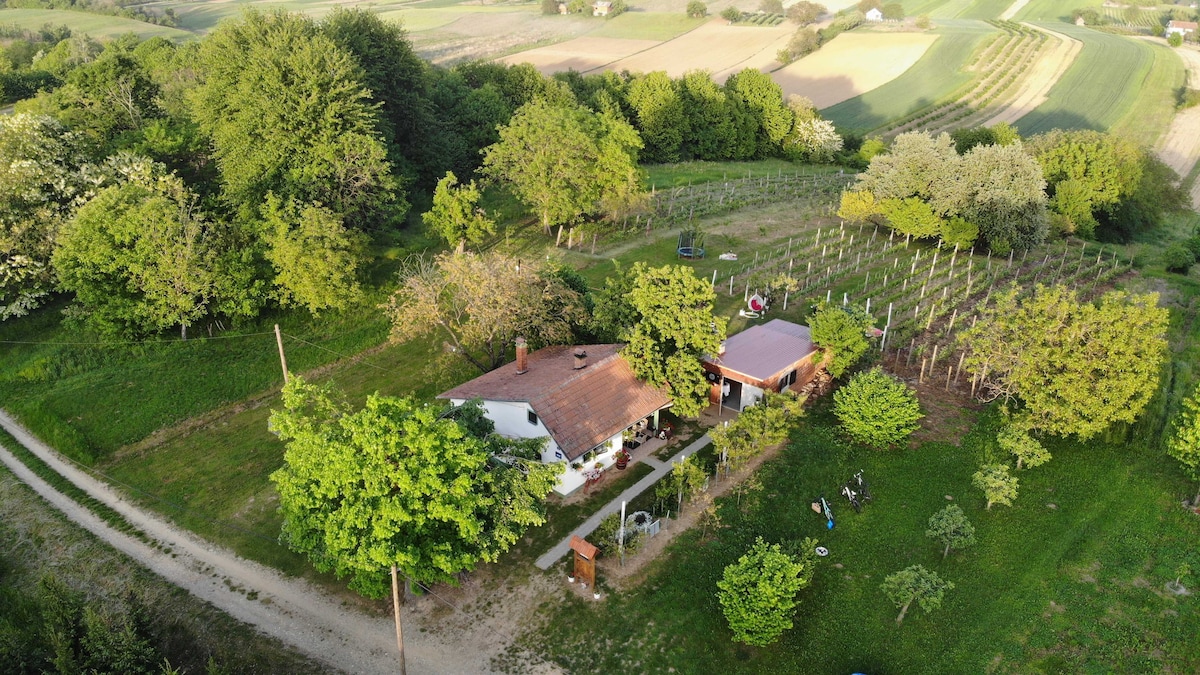 Aerial view of the property showcases the lush greenery surrounding the family farm. The charming farmhouse features a rustic roof and is complemented by rows of vineyards and orchards. Paths meander through the landscape, leading to various outdoor seating areas amidst the natural beauty.