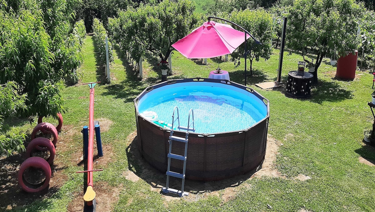 A circular above-ground pool is surrounded by green grass and fruit trees. A pink umbrella provides shade over the pool area, while a slide and a set of tires for children's play are visible nearby. This space is designed for outdoor family relaxation and fun.