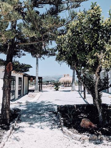 Only Summer – La Finca gallery image 5