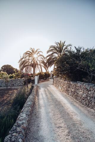 Only Summer – La Finca gallery image 2