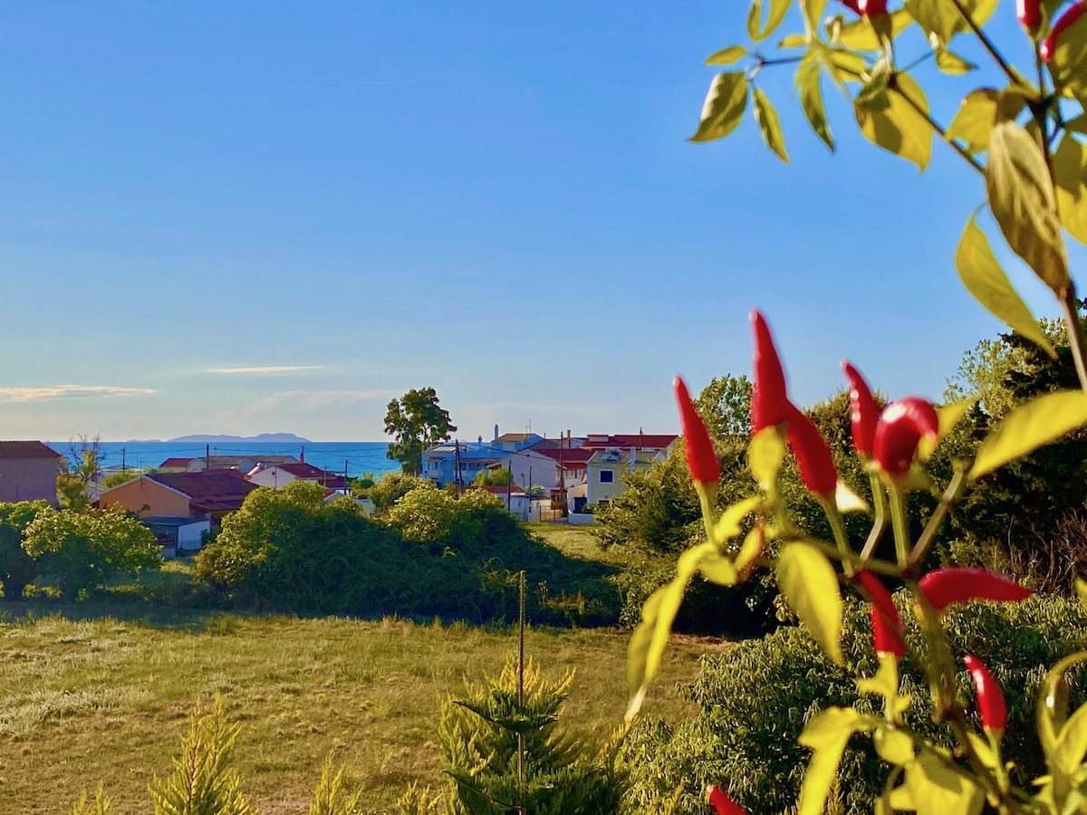 Kastro Thyme — view 4