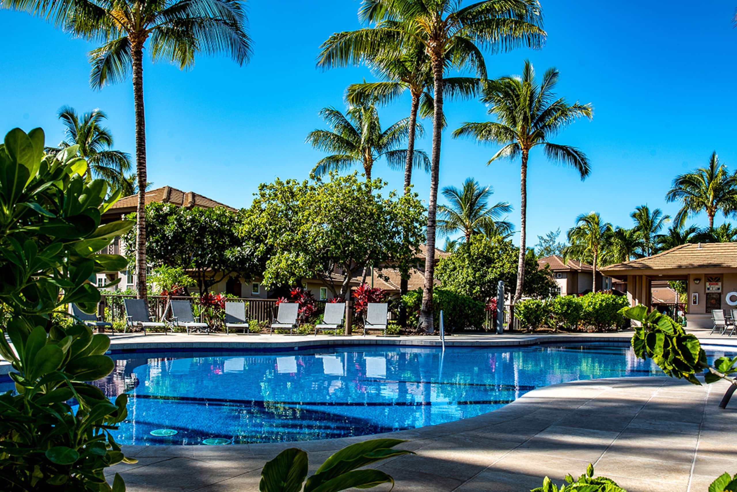 Hilton Waikoloa Pool Pass. Waikoloa Golf - Photo 45