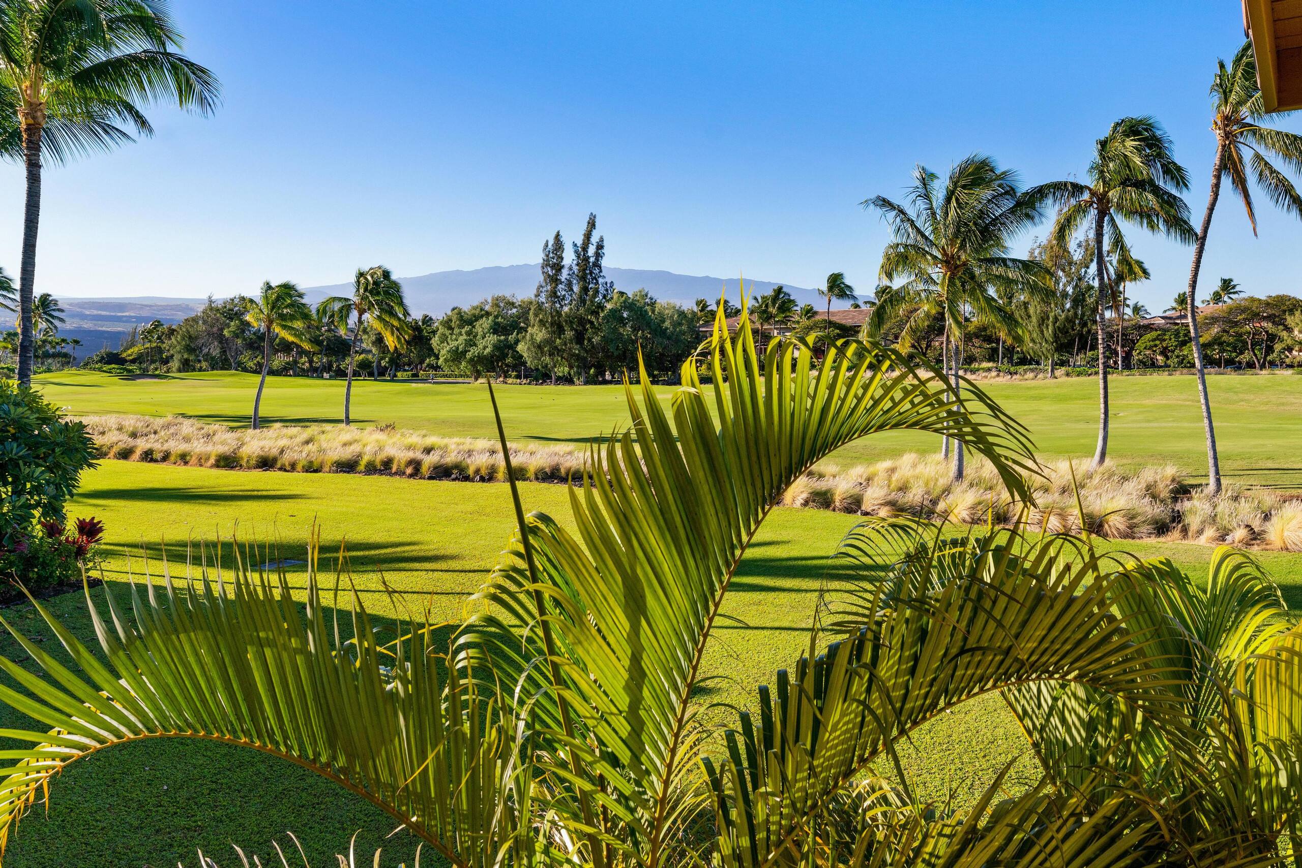 Hilton Waikoloa Pool Pass. Waikoloa Golf - Photo 41