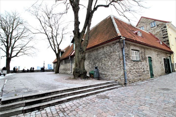 Elegant Studio In Tallinn's Prestigious Upper Town - Tallinn