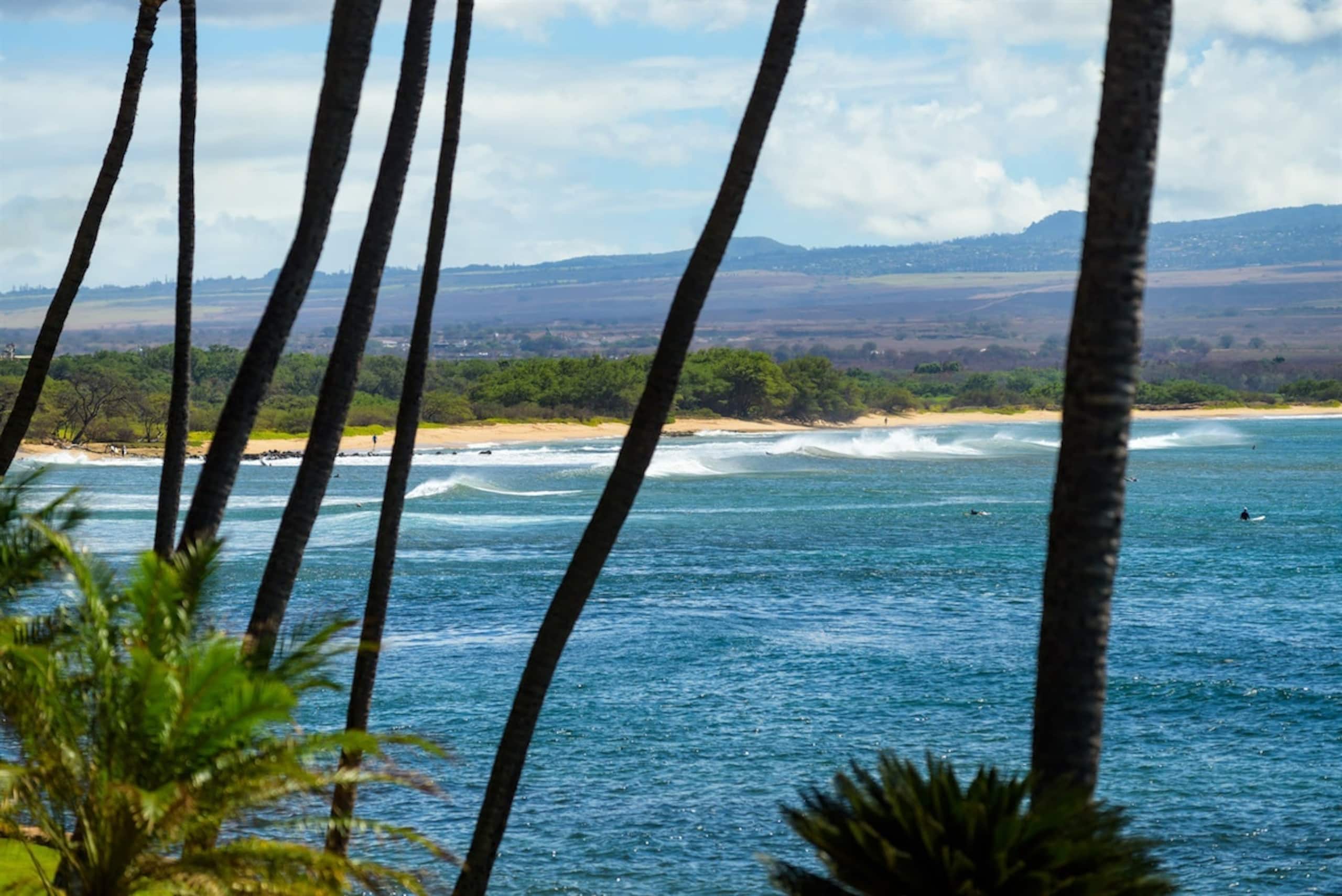 Condo in Wailuku · ★4.93 · 3 bedrooms · 5 beds · 2 private baths - Image 20