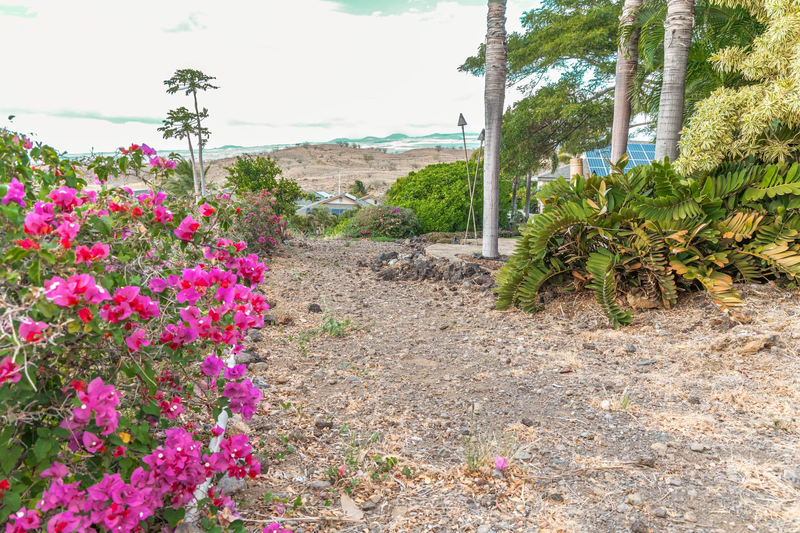 1+ Acre Private Resort, 4BD + 3BTH, Cinema, Spa - Photo 375
