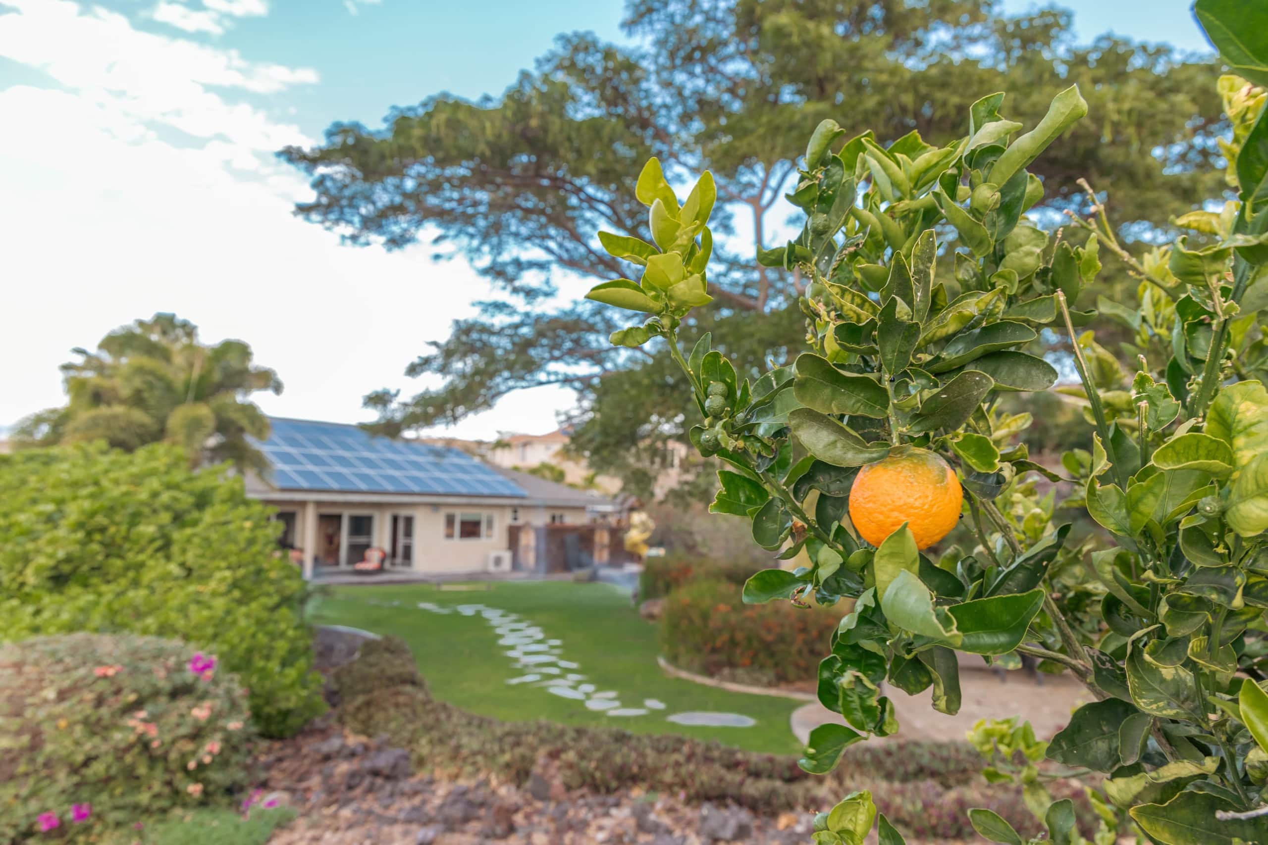1+ Acre Private Resort, 4BD + 3BTH, Cinema, Spa - Photo 191