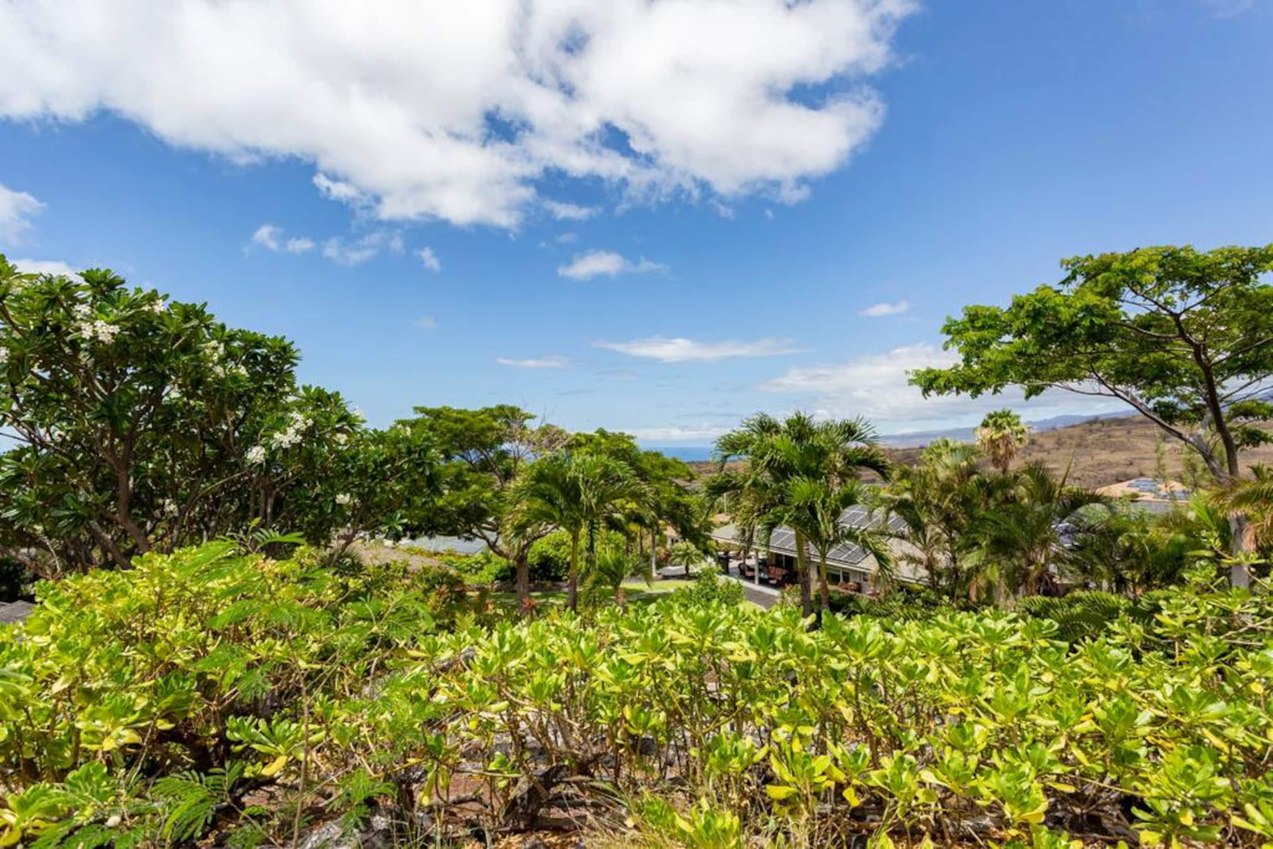 1+ Acre Private Resort, 4BD + 3BTH, Cinema, Spa - Photo 250