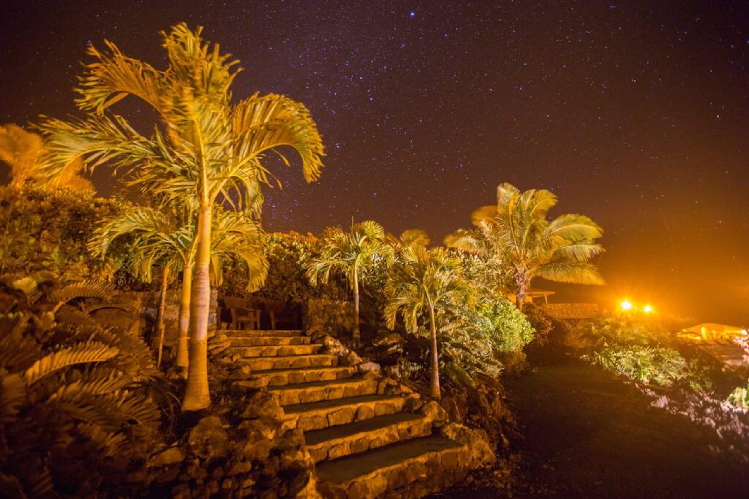 1+ Acre Private Resort, 4BD + 3BTH, Cinema, Spa - Photo 246