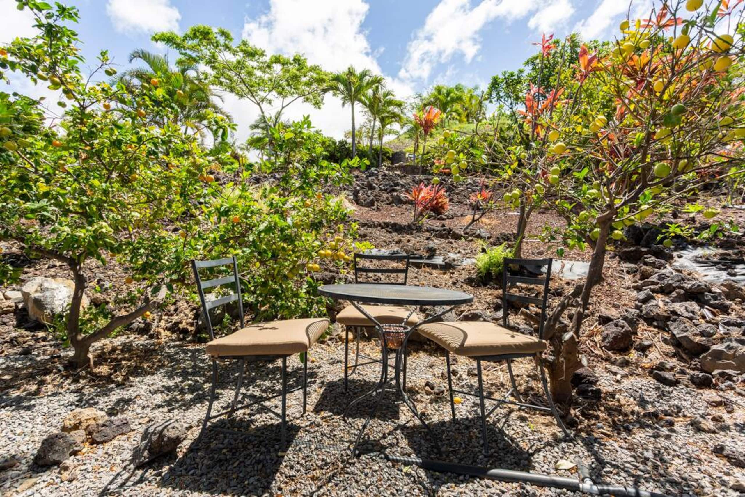 1+ Acre Private Resort, 4BD + 3BTH, Cinema, Spa - Photo 234