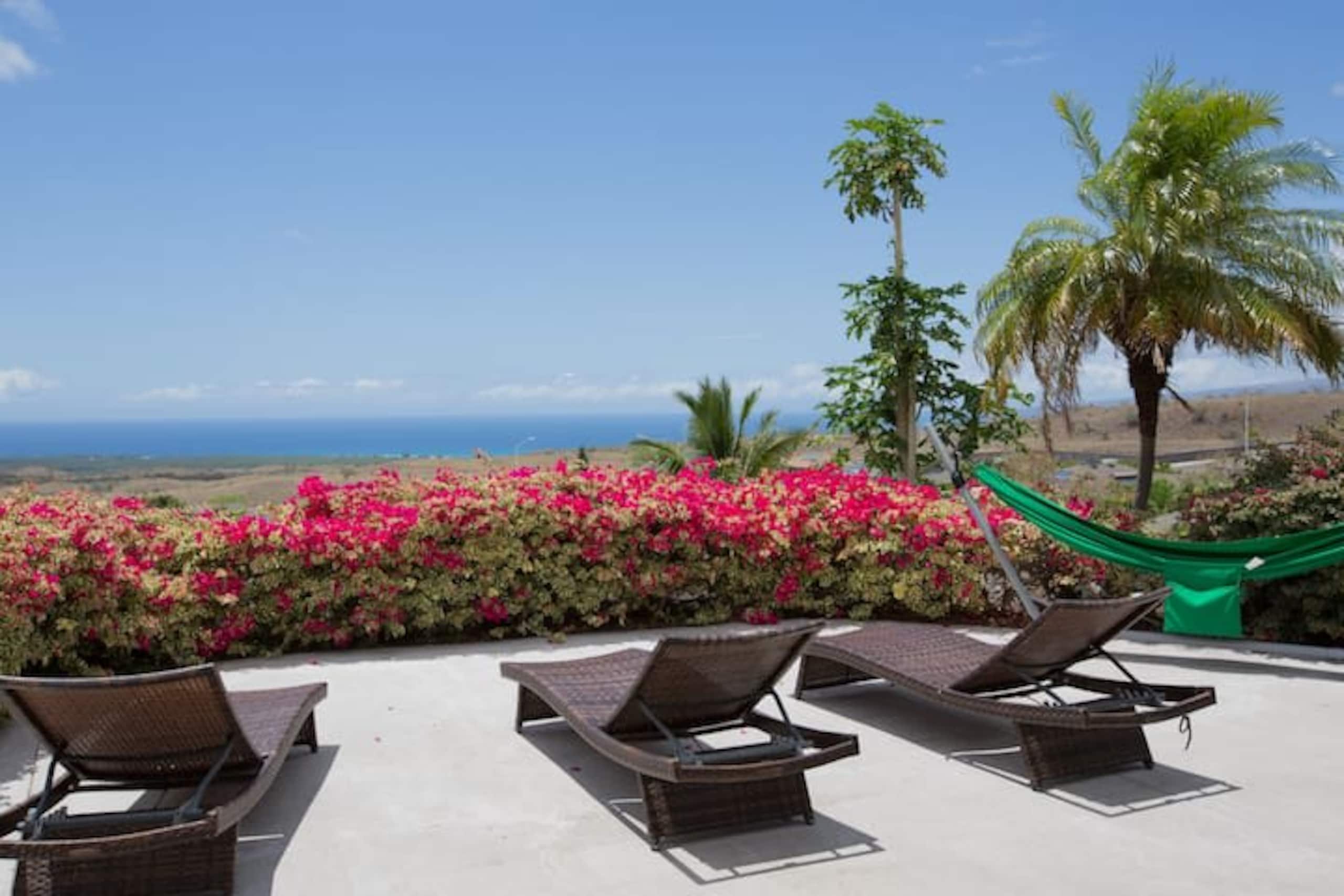 1+ Acre Private Resort, 4BD + 3BTH, Cinema, Spa - Photo 363