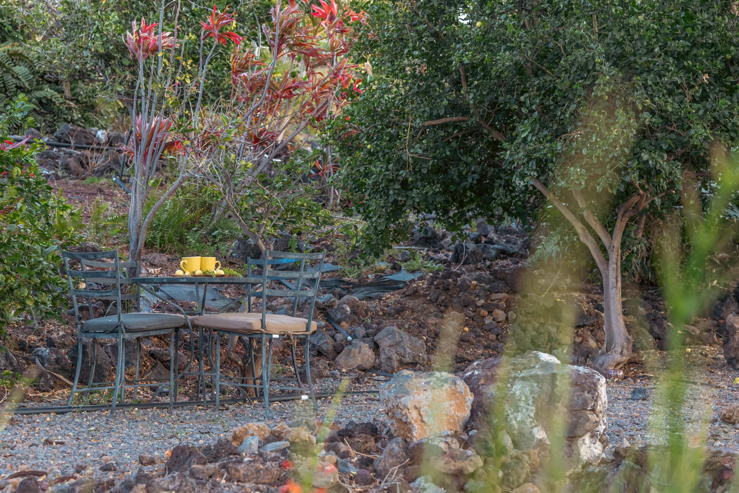 1+ Acre Private Resort, 4BD + 3BTH, Cinema, Spa - Photo 194