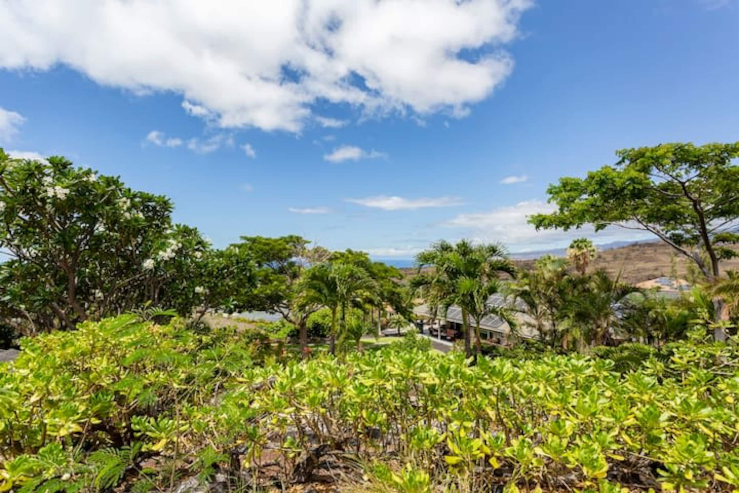1+ Acre Private Resort, 4BD + 3BTH, Cinema, Spa - Photo 319