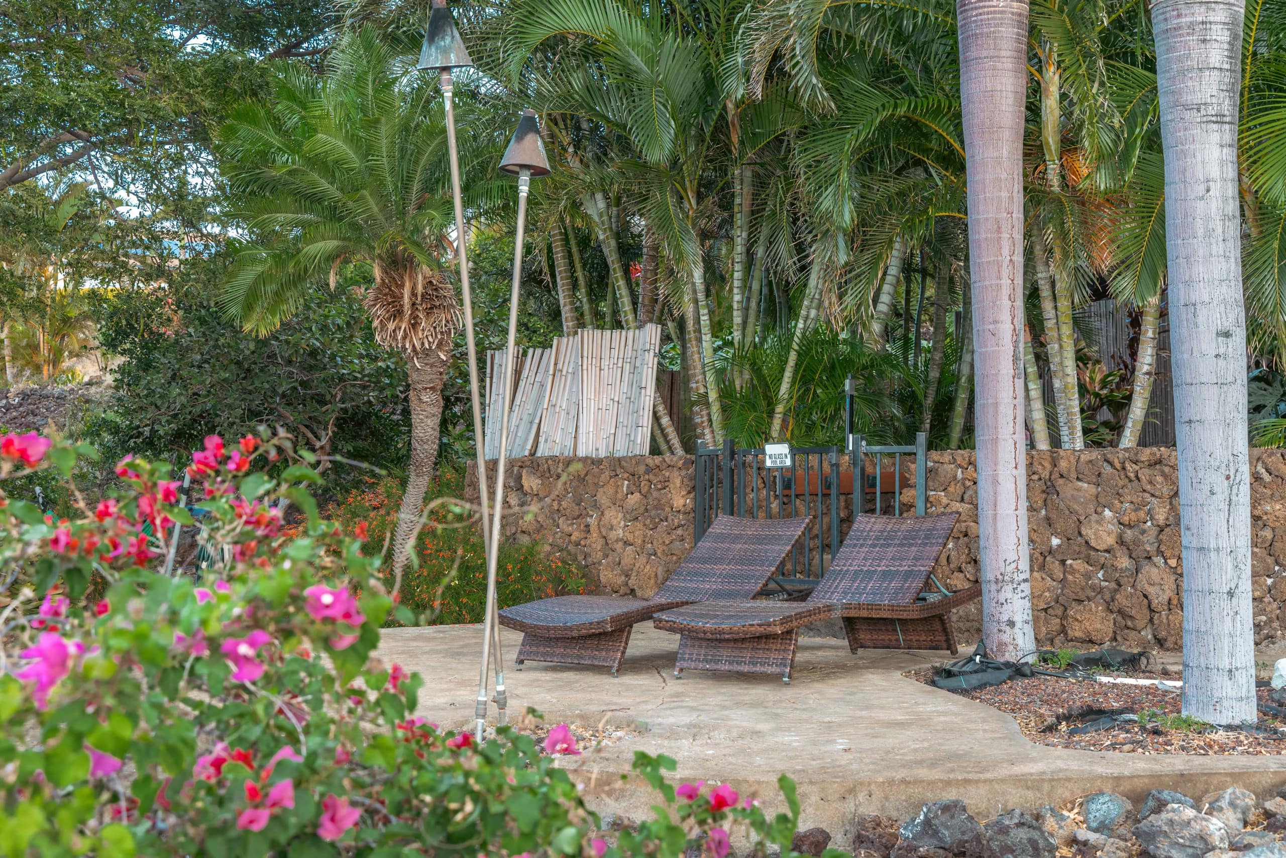 1+ Acre Private Resort, 4BD + 3BTH, Cinema, Spa - Photo 179