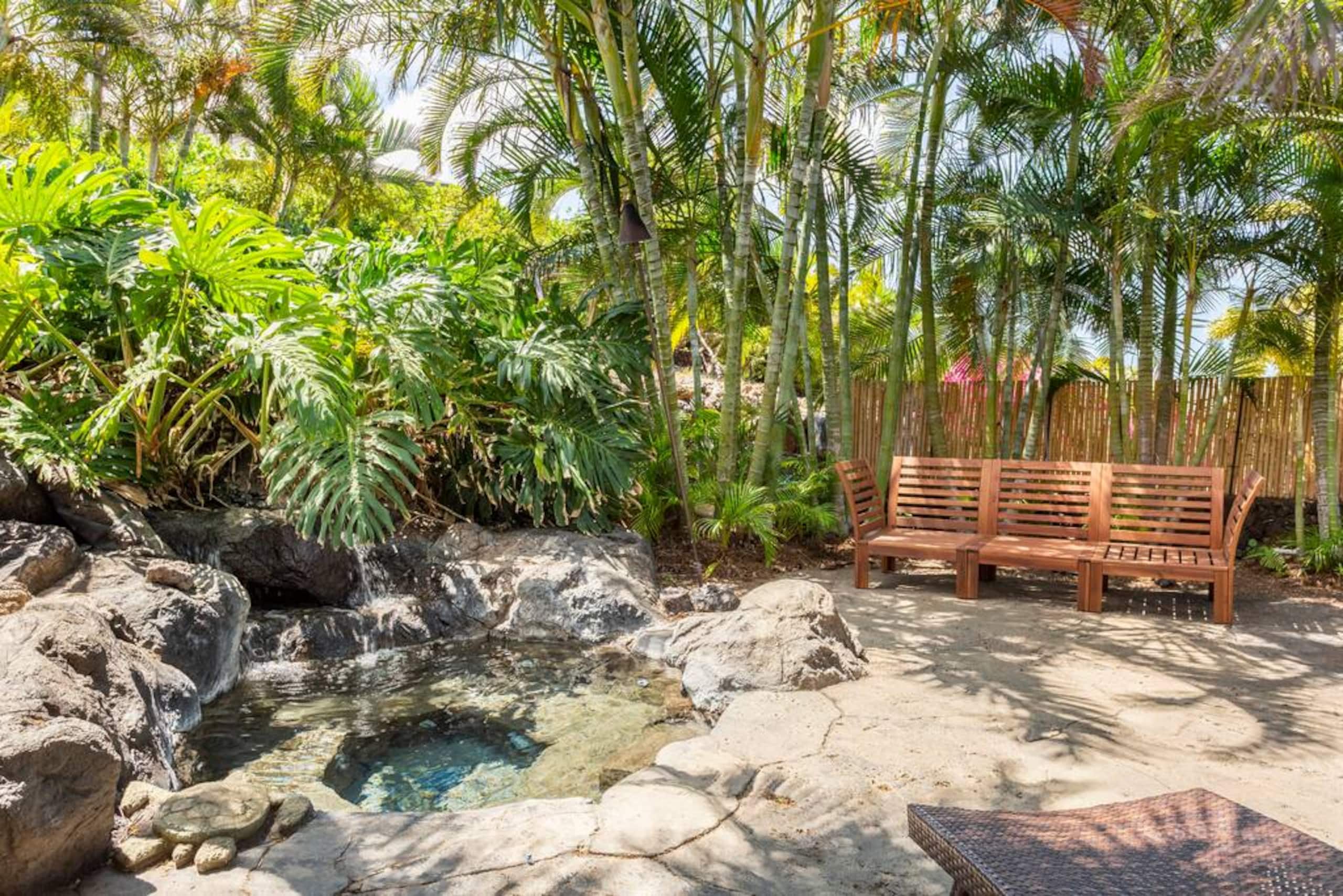 1+ Acre Private Resort, 4BD + 3BTH, Cinema, Spa - Photo 310