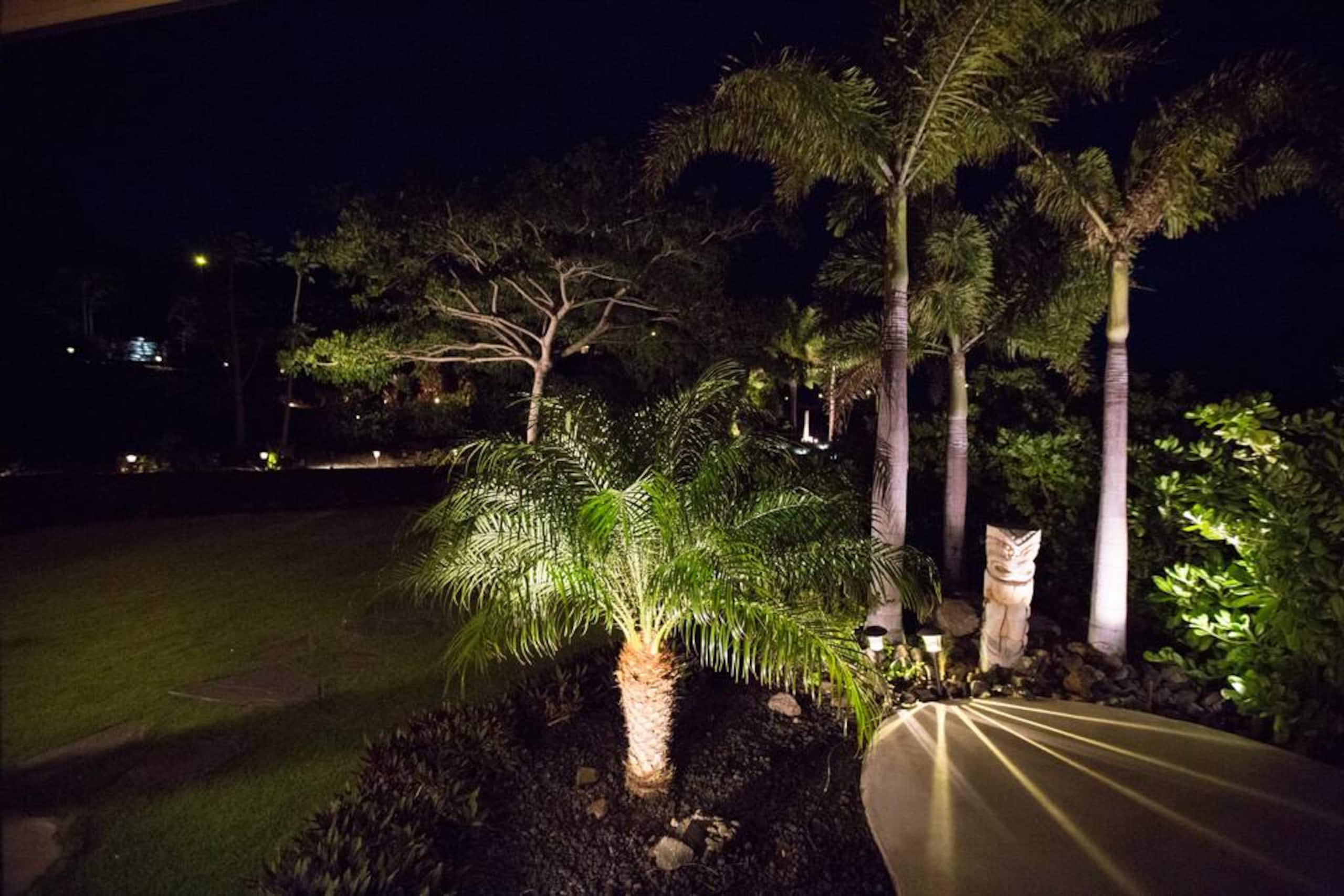 1+ Acre Private Resort, 4BD + 3BTH, Cinema, Spa - Photo 260