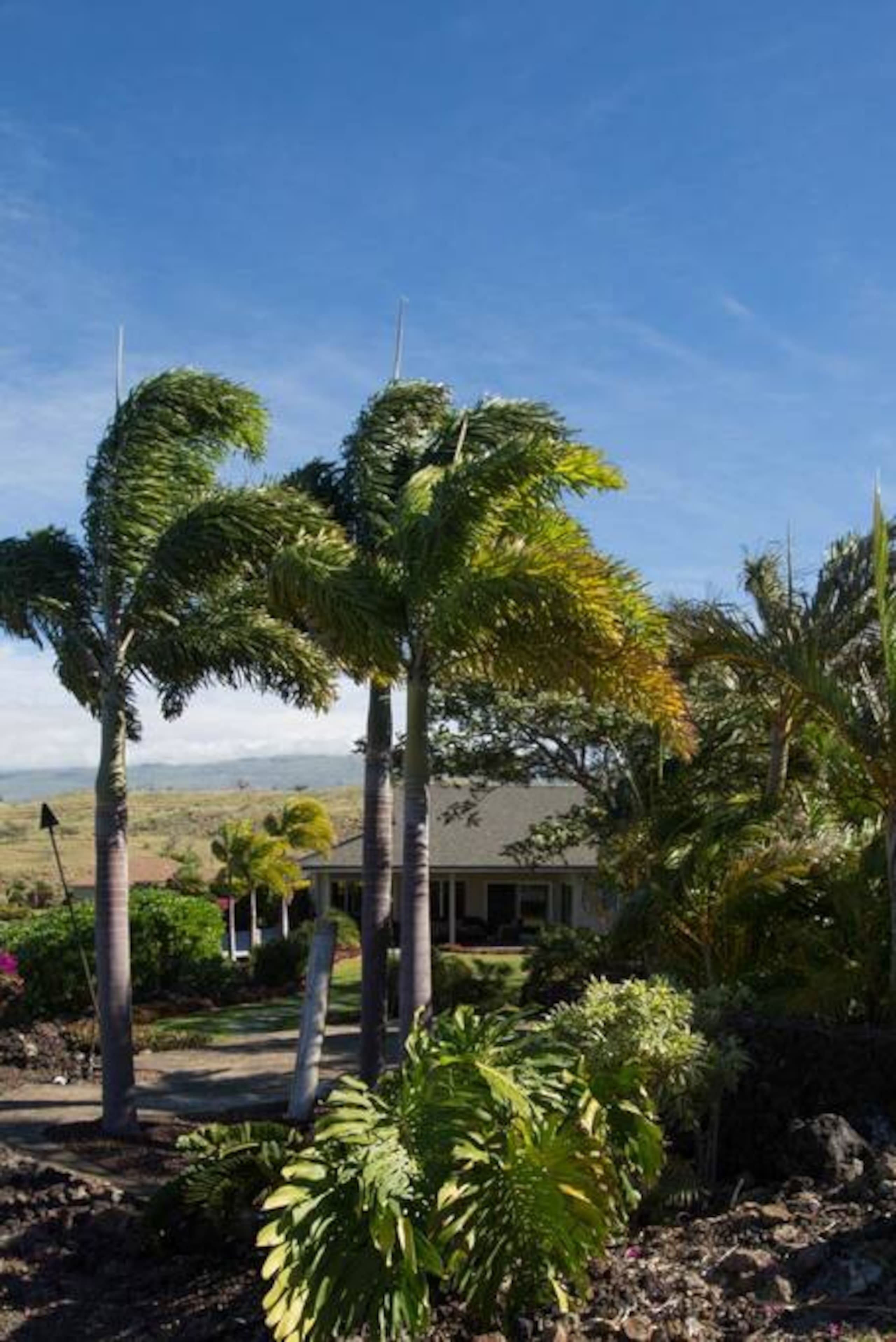 1+ Acre Private Resort, 4BD + 3BTH, Cinema, Spa - Photo 266
